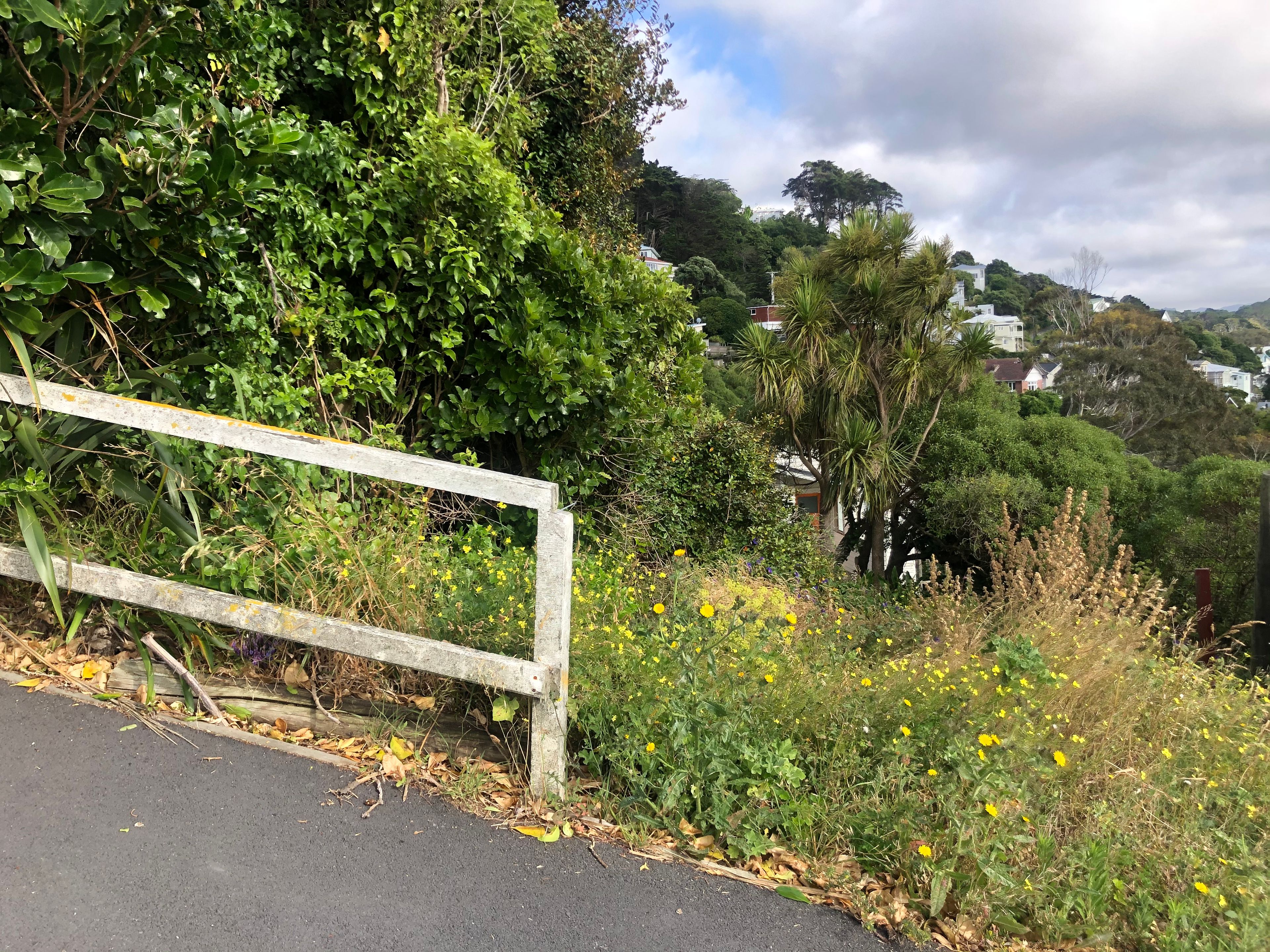54b Rodrigo Road, Kilbirnie, Wellington City