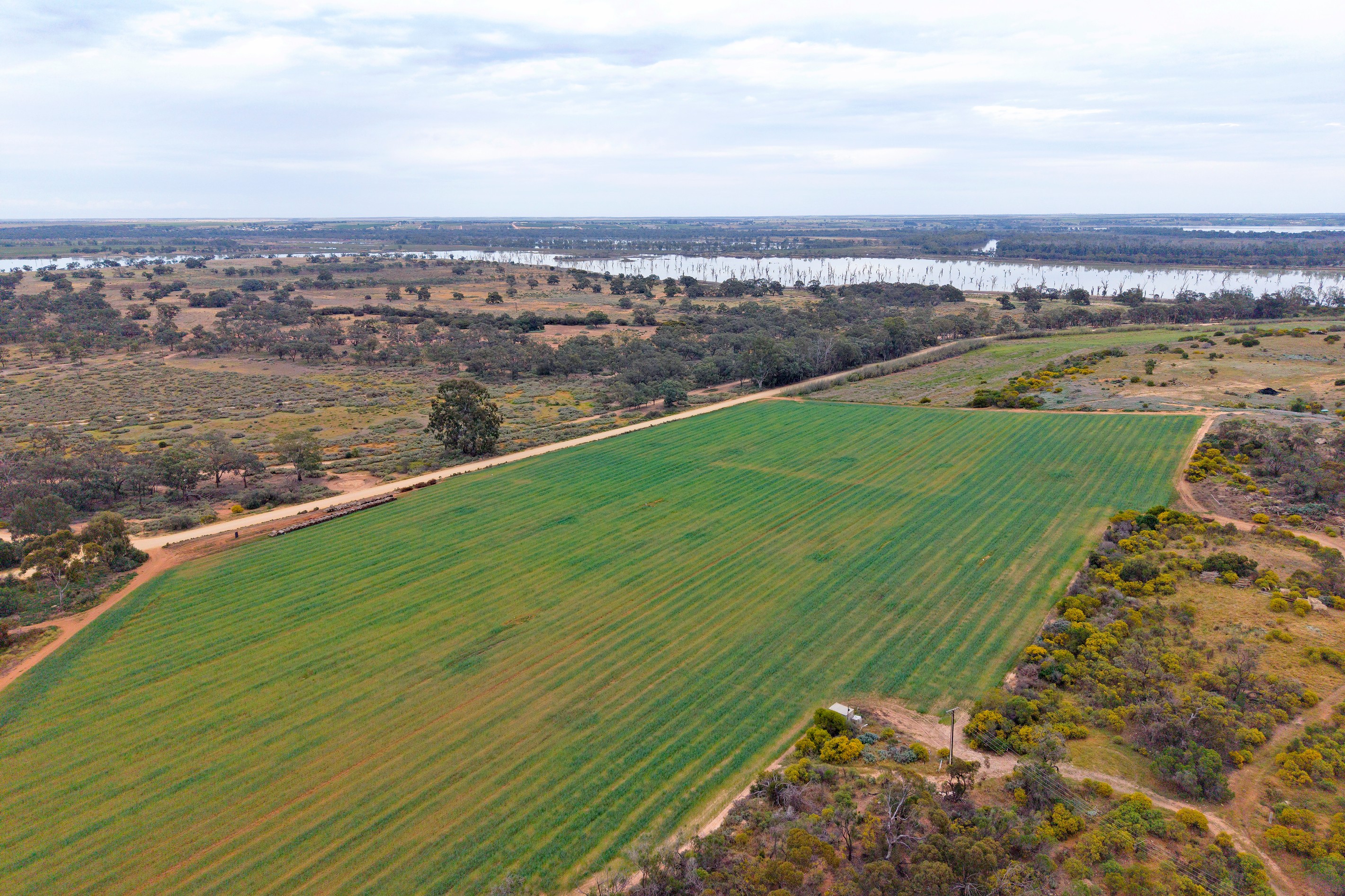 Sec 236, 730 & 731 Schell Road, Loveday, SA 5345