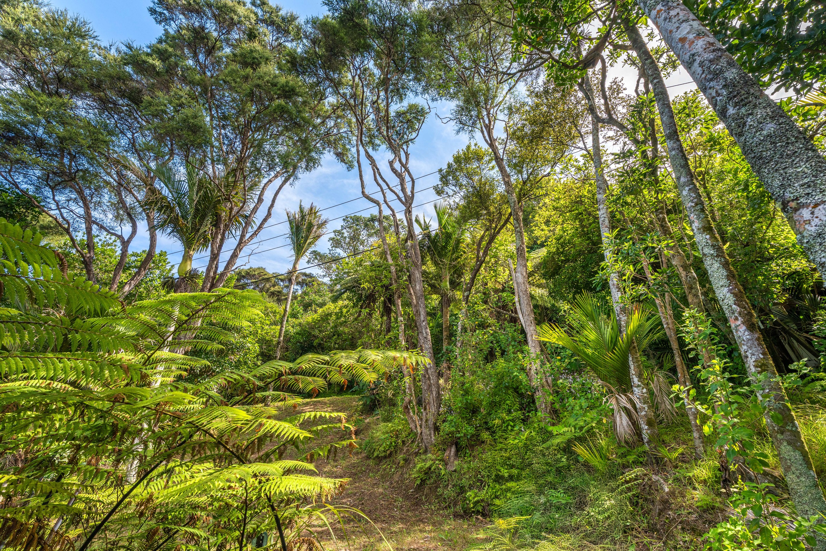 83 Fairview Crescent, Omiha, Waiheke Island