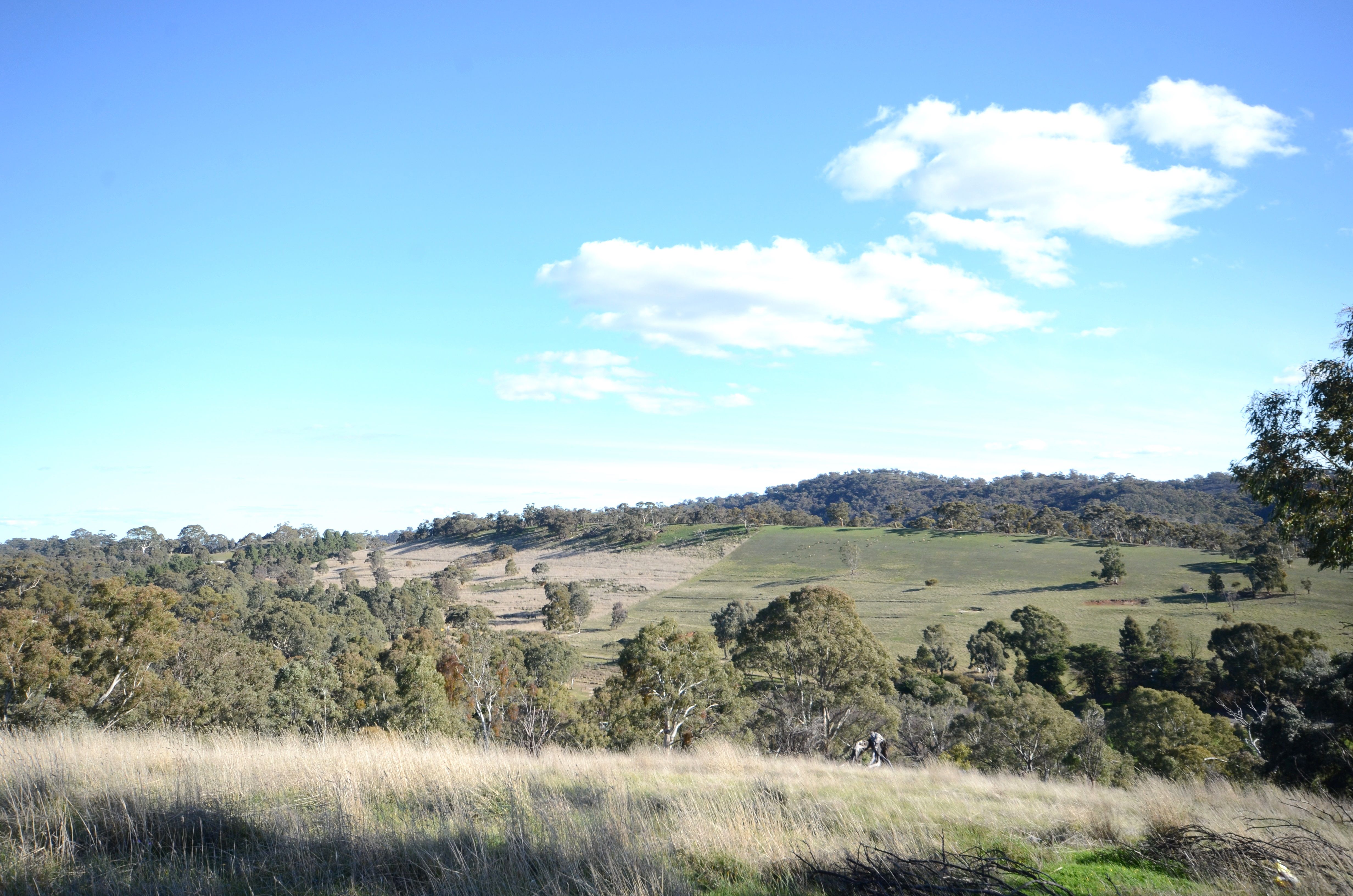 Lot 5 Campbell Road, Penwortham, SA 5453