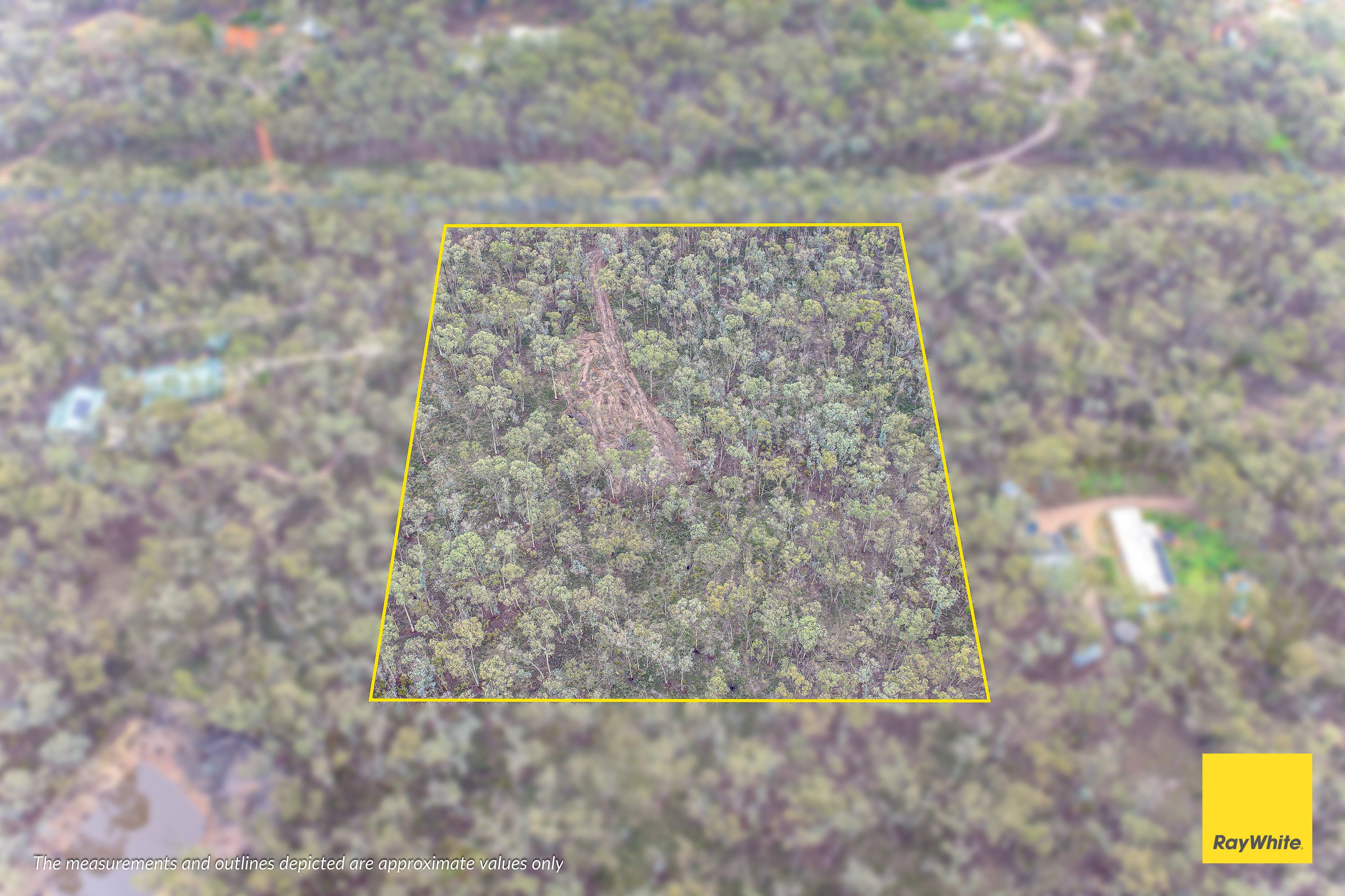 50 Melaleuca Avenue — photo 8 of 9