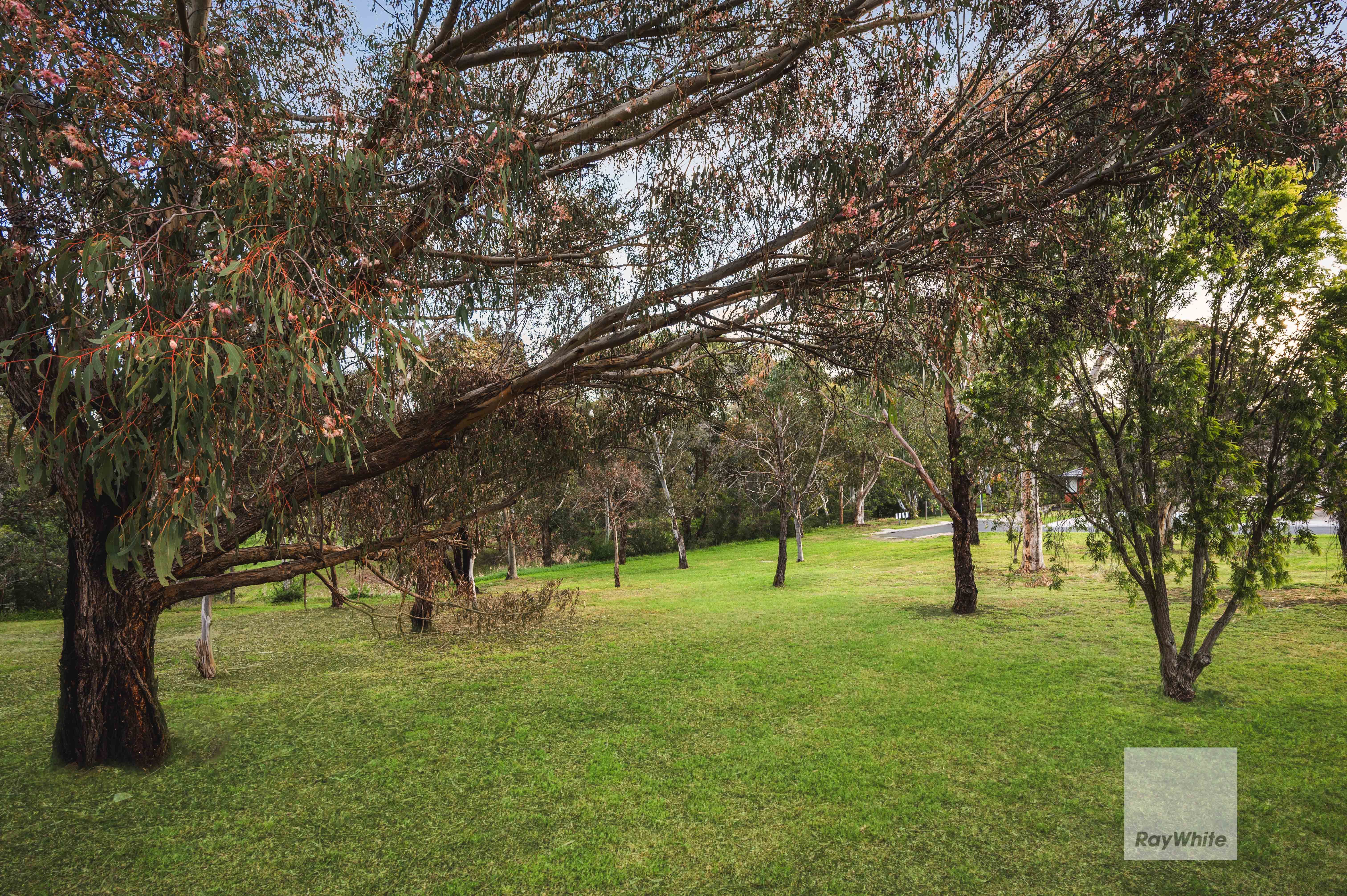 4/16 Riddell Street — photo 21 of 22