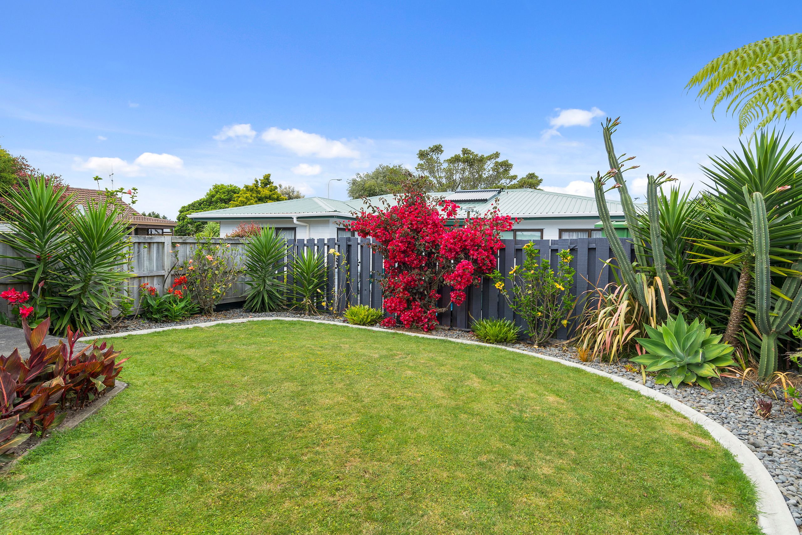 3b Ngarimu Place, Mt Maunganui, Tauranga City