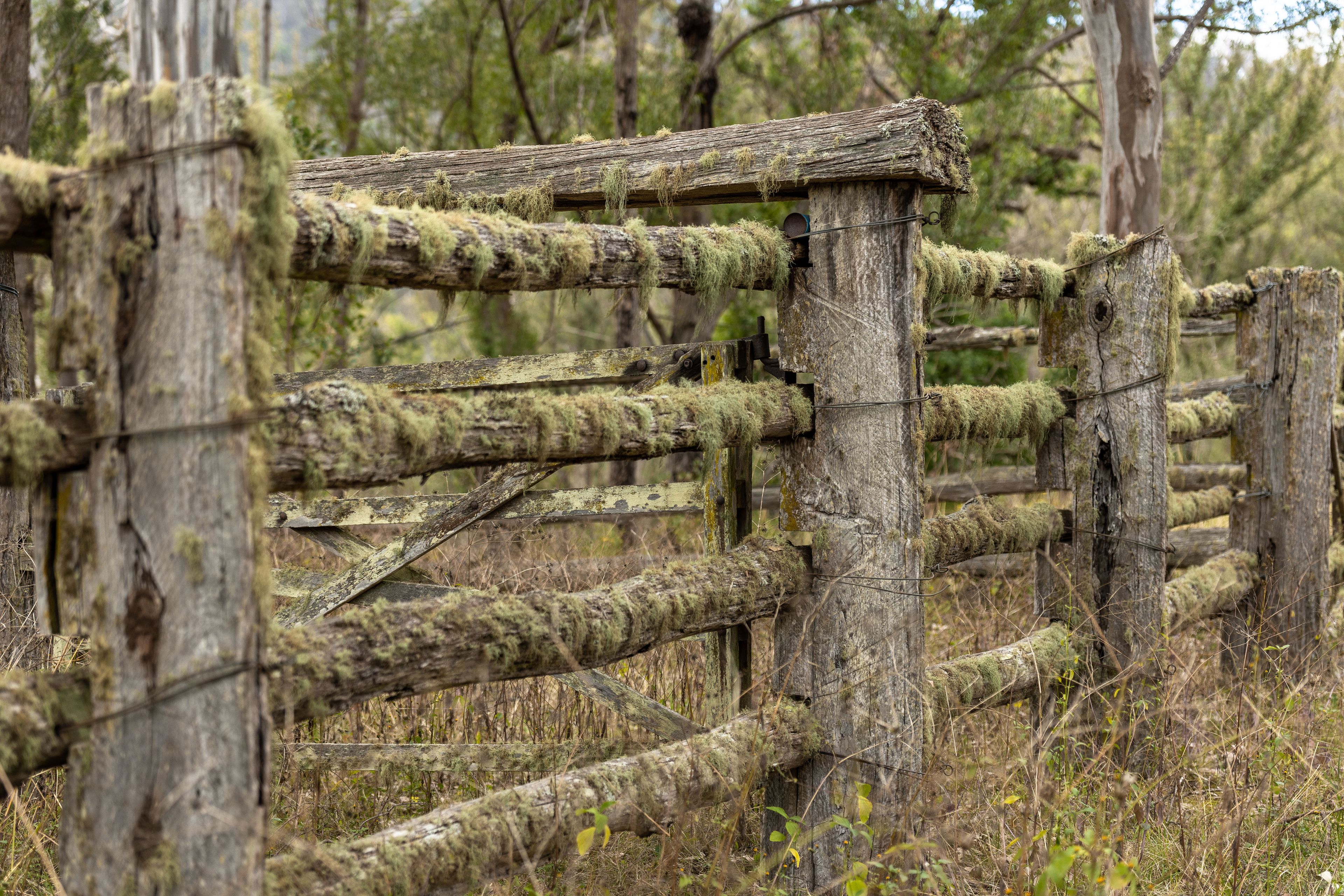 Lot 78 McPhersons Country Estate, Enfield Range Road, Cells River, NSW