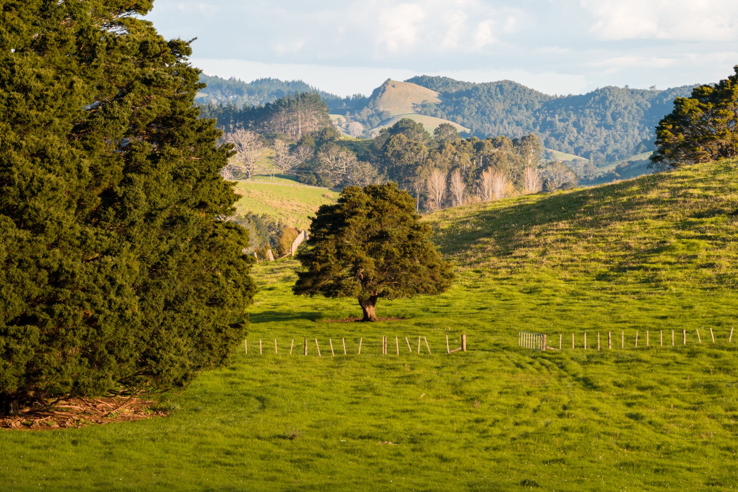 Lots 1-17 Huanui Rise, Glenbervie, Whangarei District