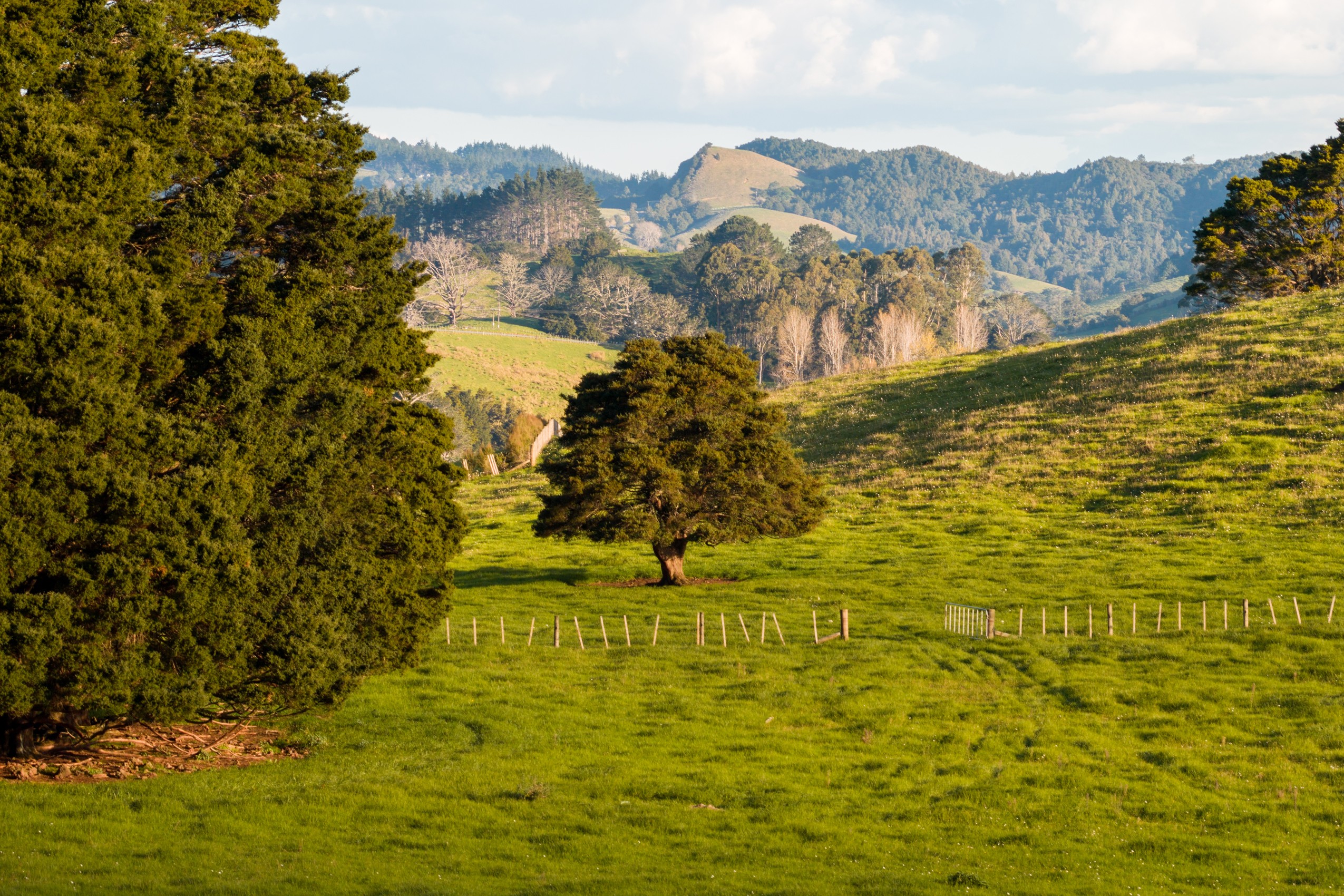 Lots 1-17 Huanui Rise, Glenbervie, Whangarei District