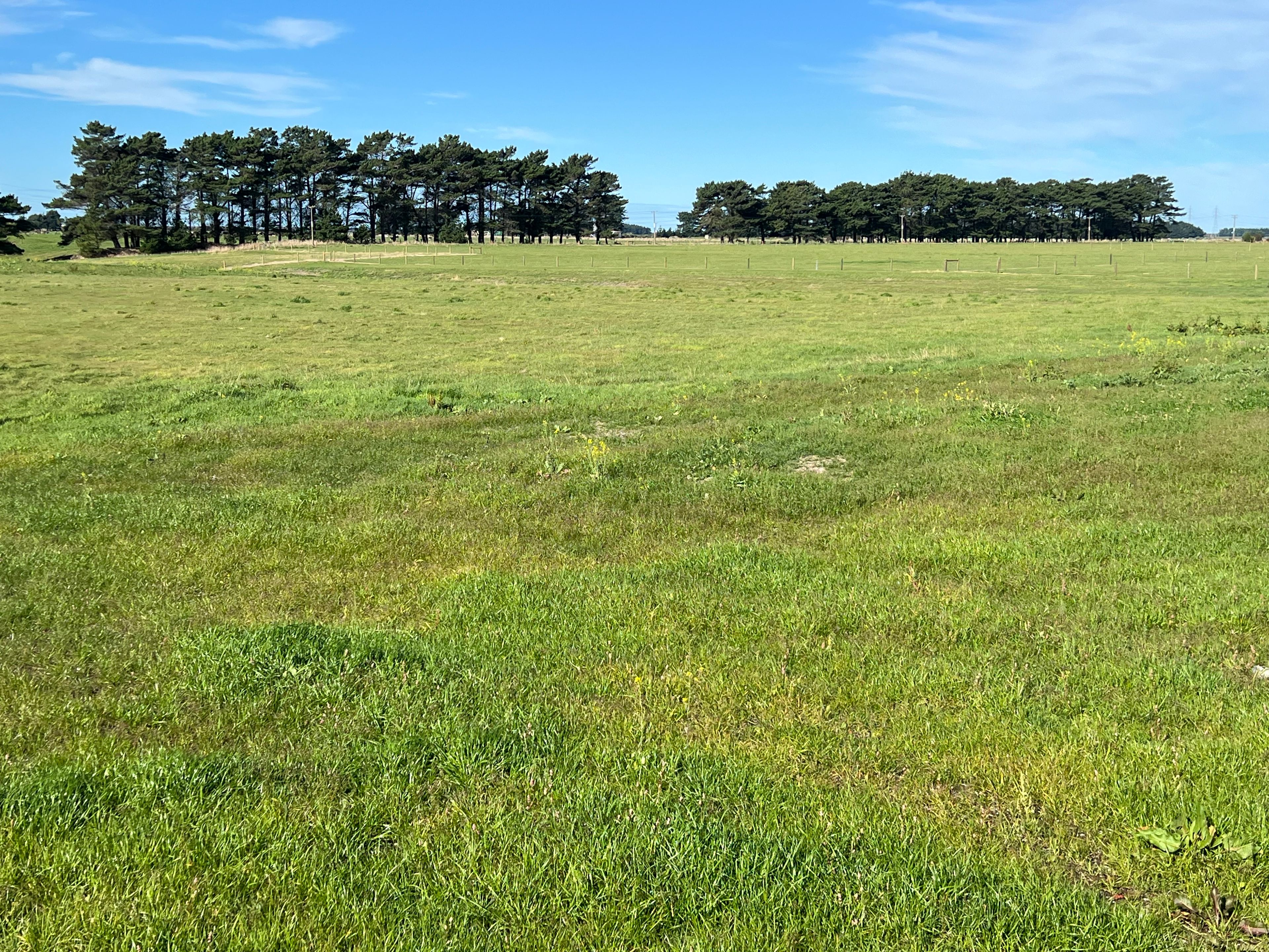 23 Wilson South Road, Motu Rimu, Invercargill 9812 - Sold Lifestyle ...