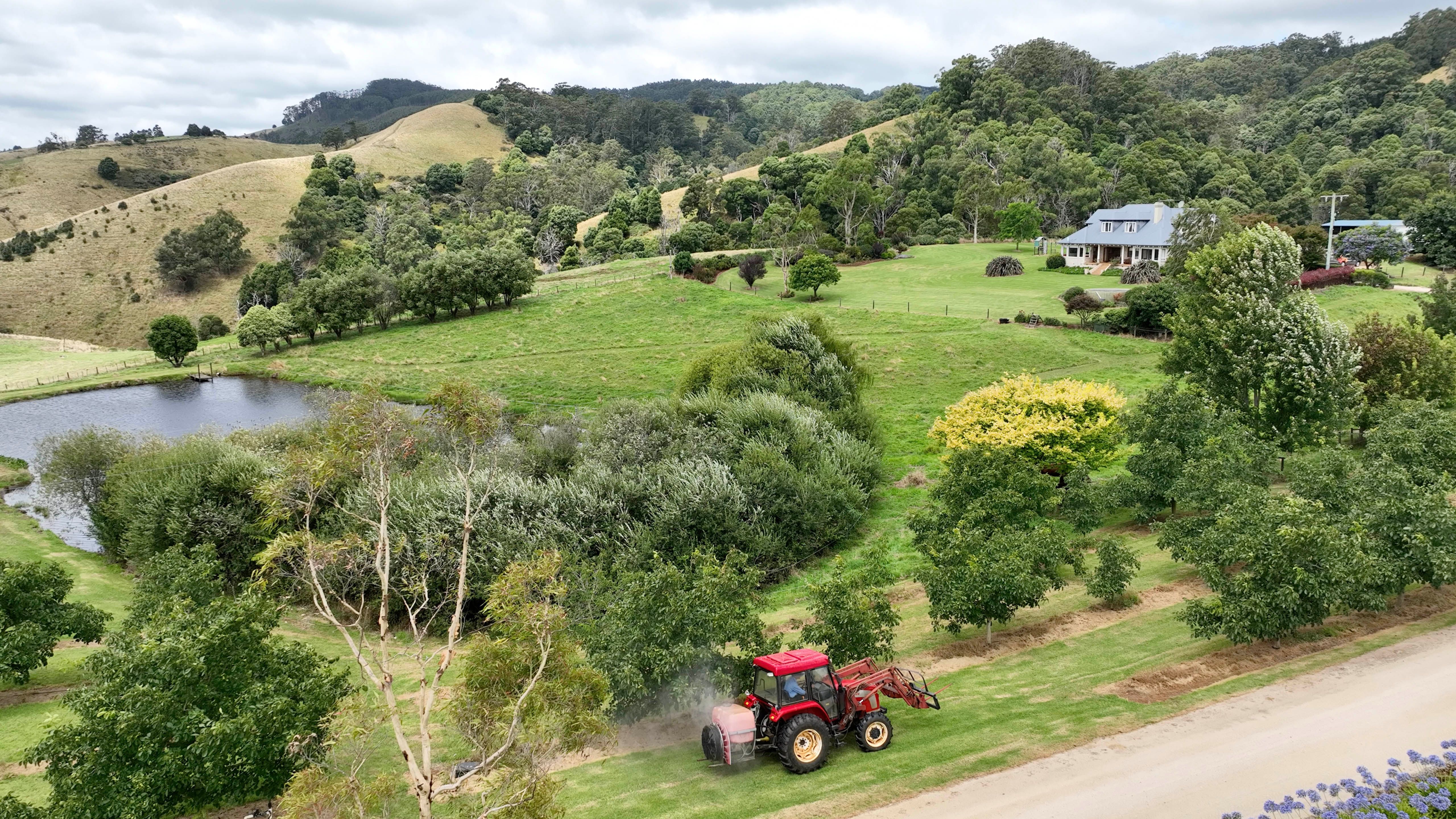 134 Petersons Road, Ellinbank, VIC 3821 Sold Rural Lifestyle Property
