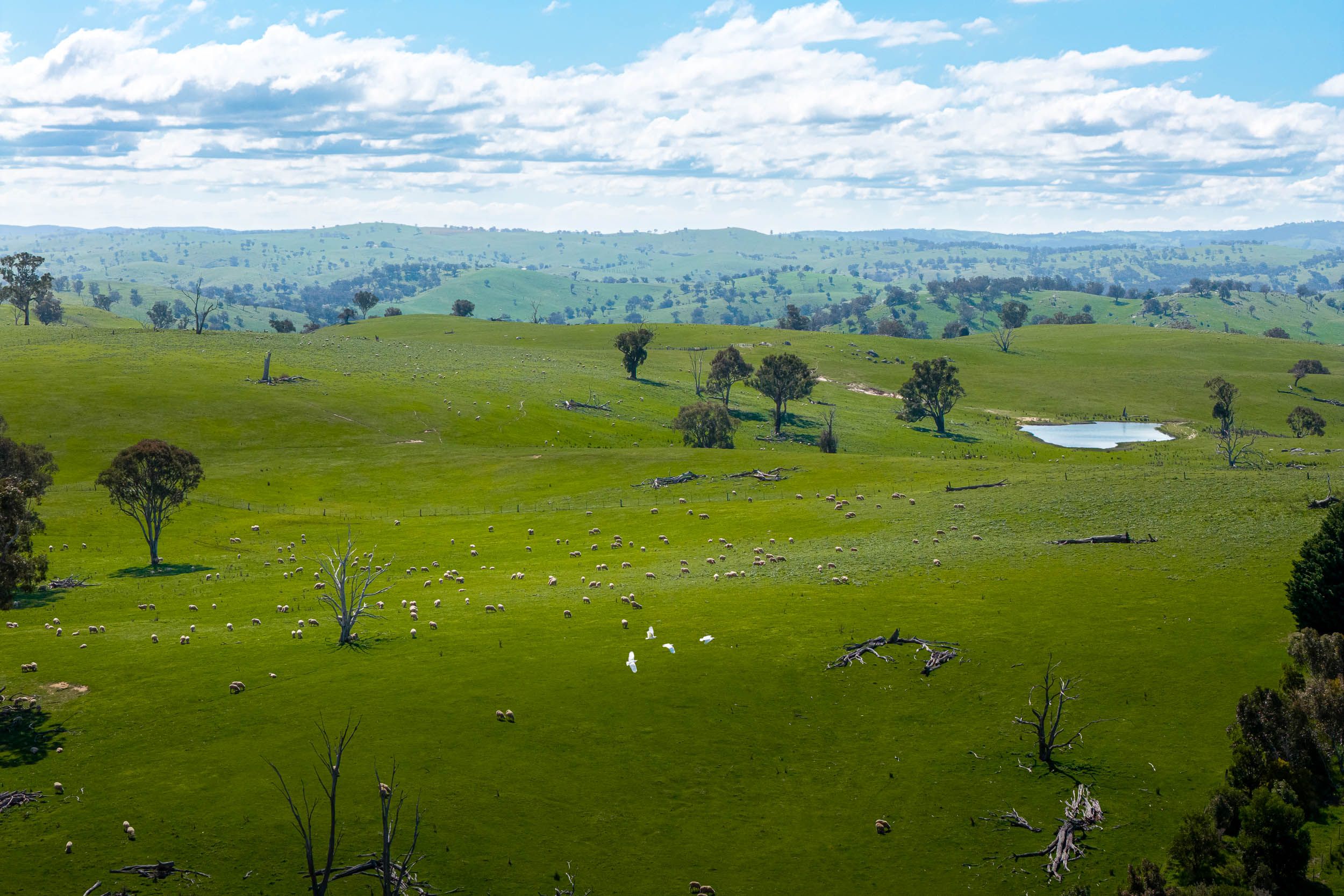 680 Fish River Road NARRAWA VIA — photo 9 of 27