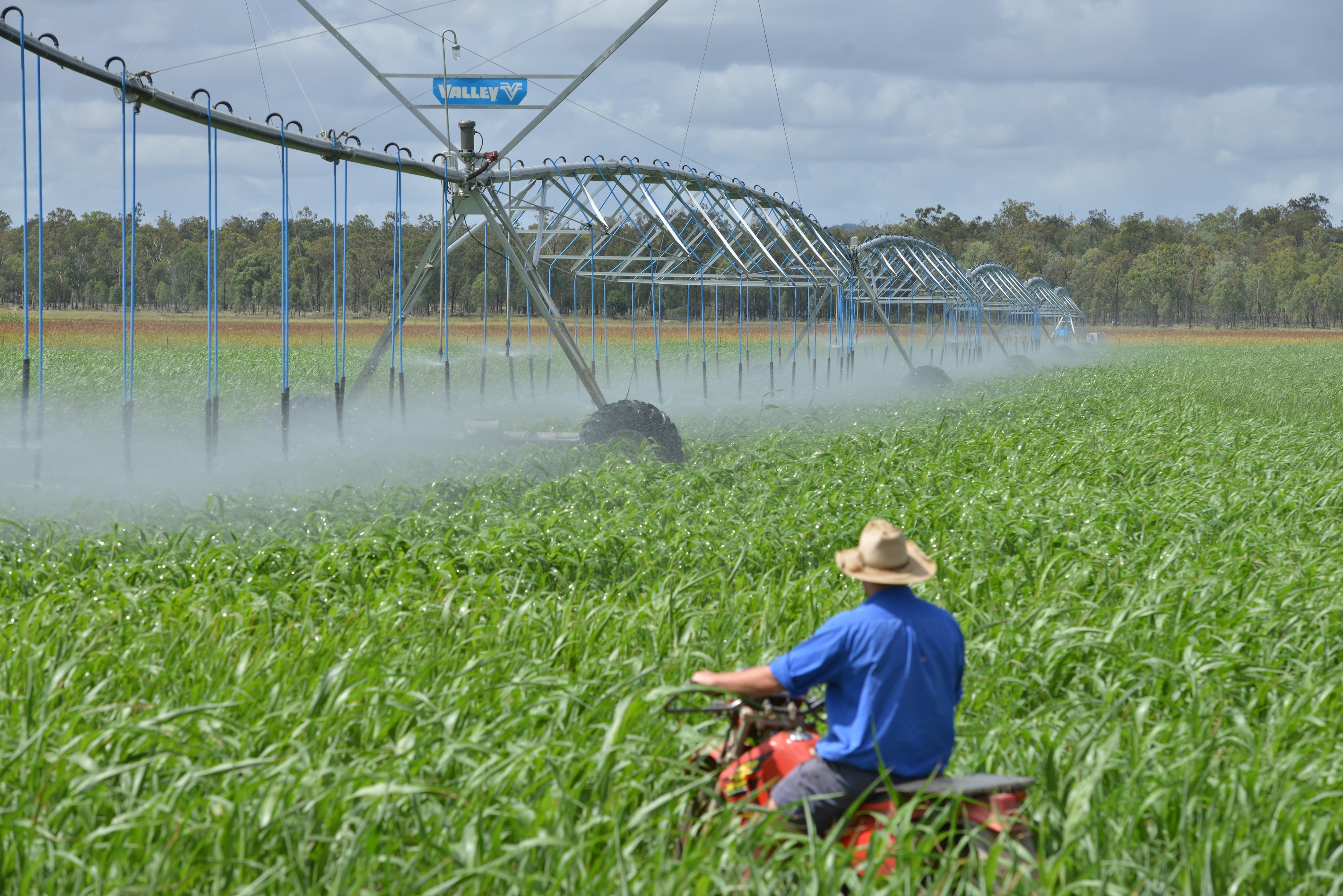 Gowrie Oakey Creek - Water Allocation, BOODUA, QLD 4401