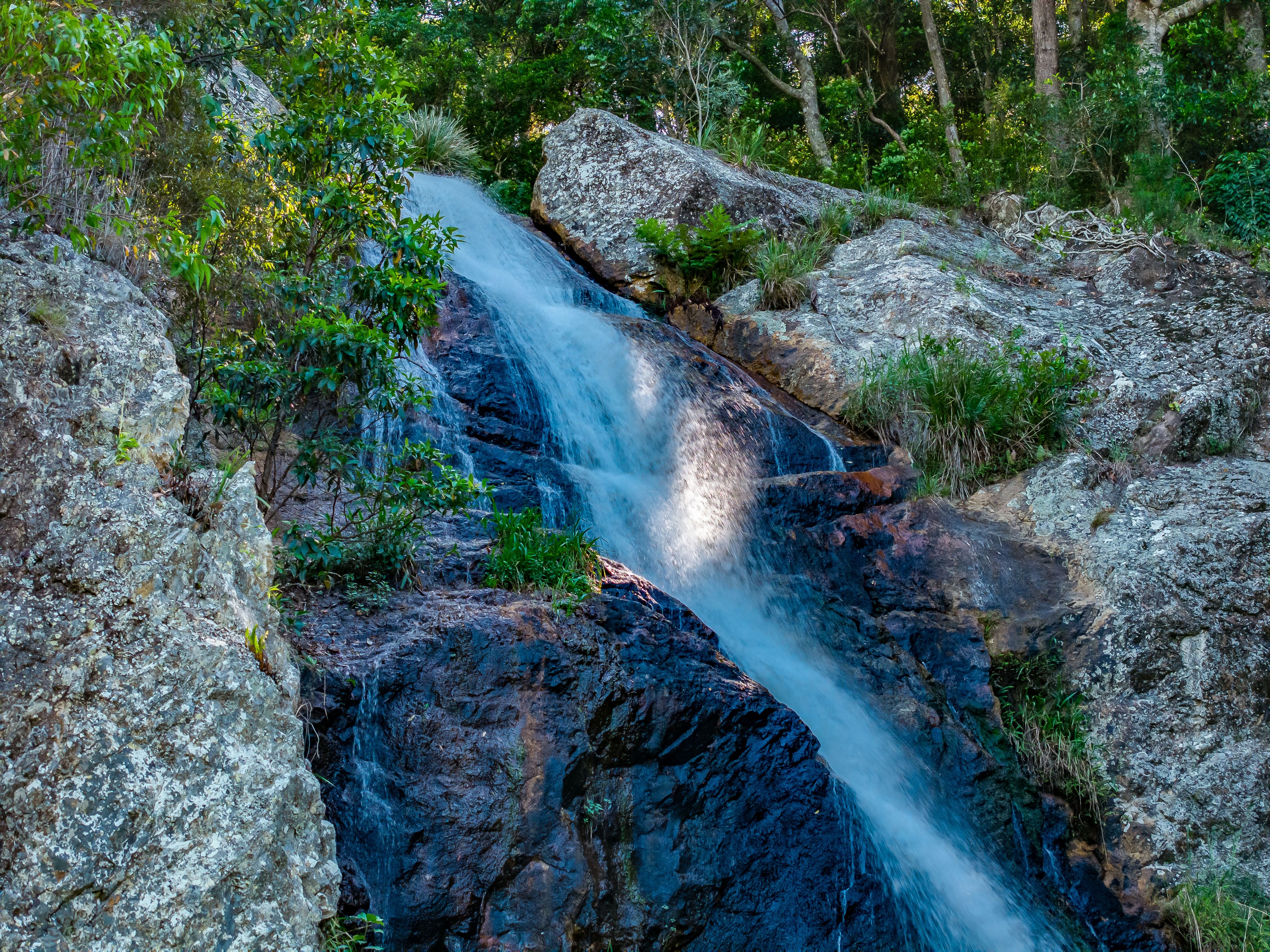 98-196 Guanaba Road, Tamborine Mountain, QLD 4272