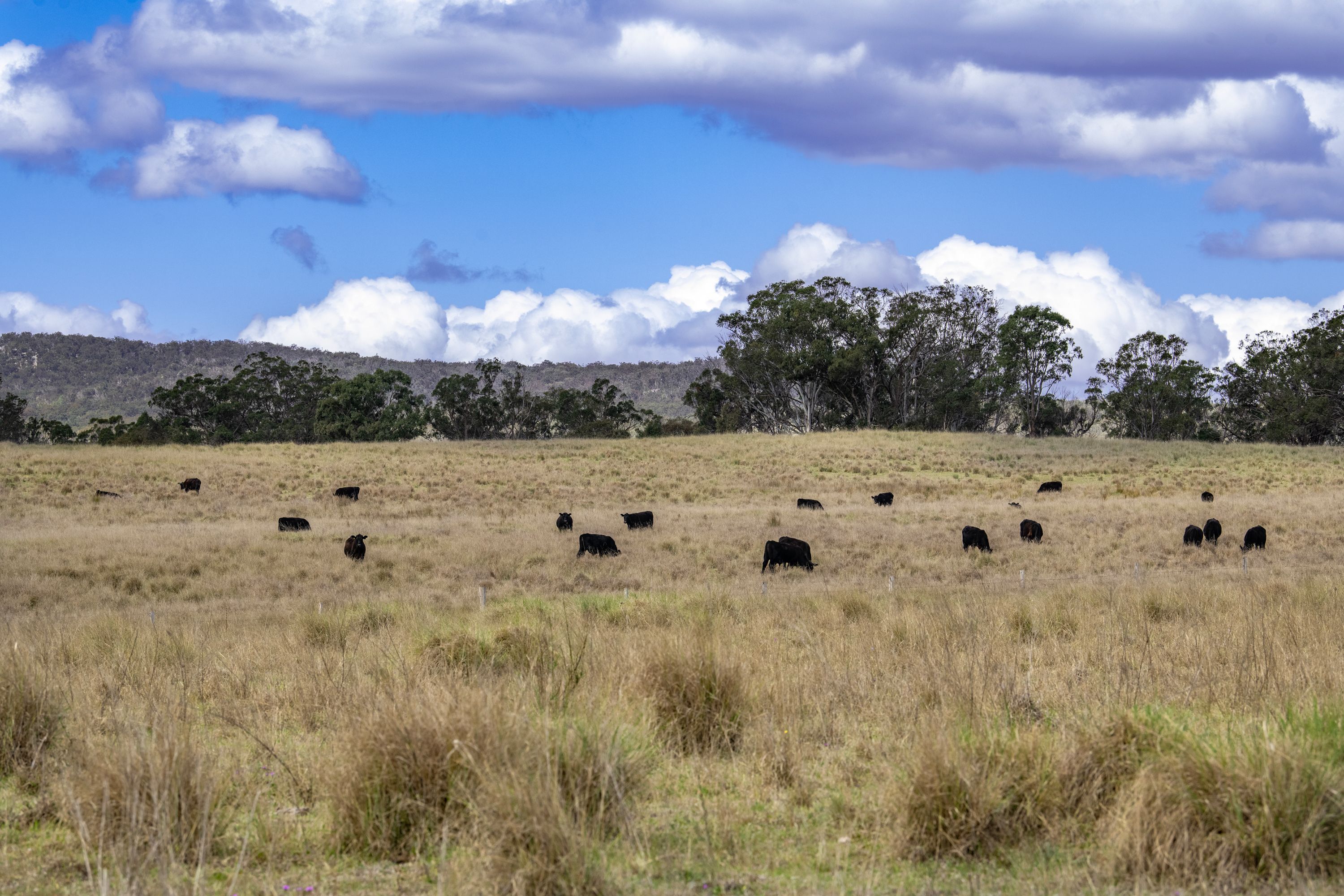 "ROCKLANDS" 2792 Old Stanthorpe Road, Dalveen, QLD 4374 Sold Rural