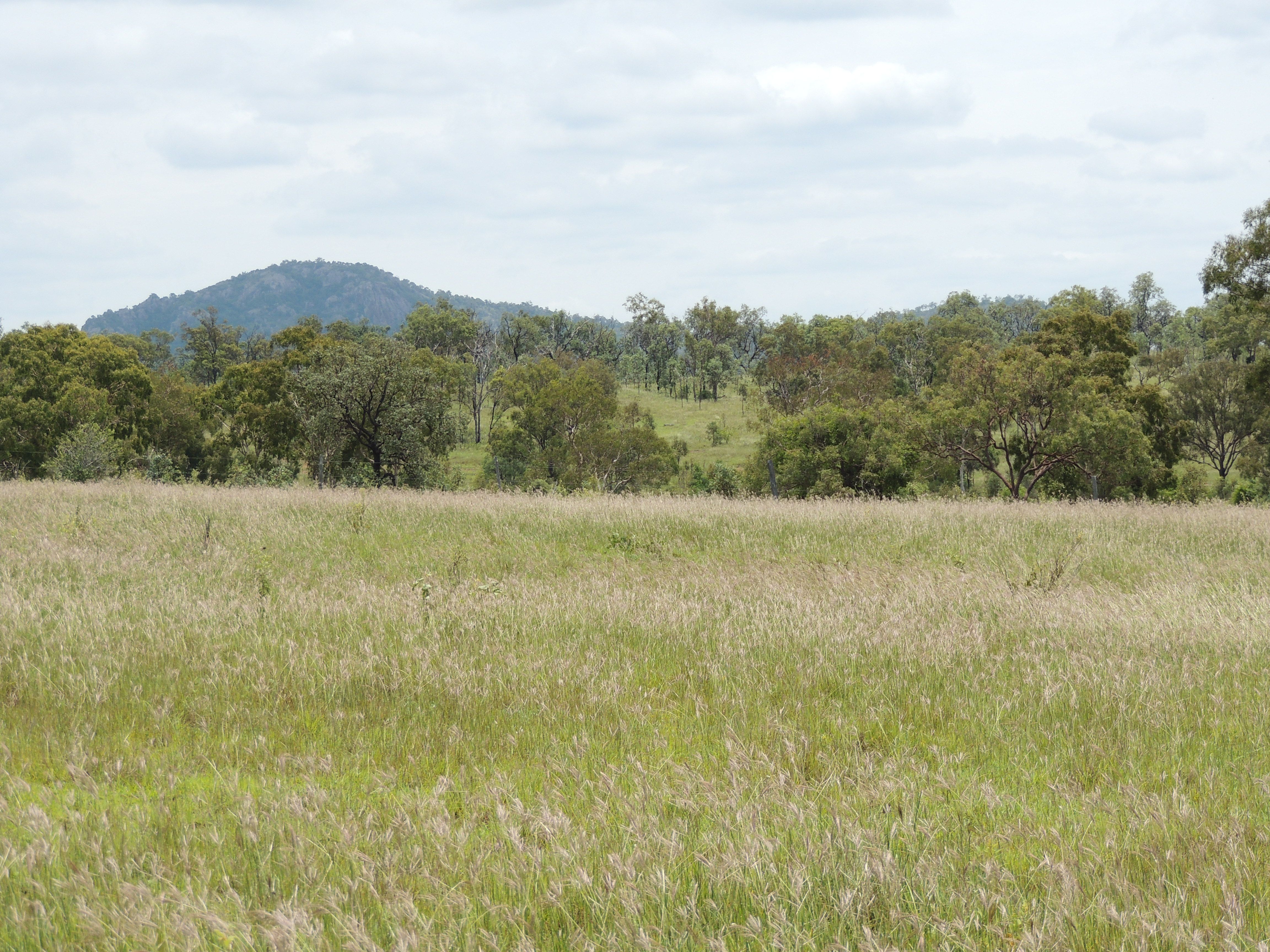 0 Pipeline Road, Nine Mile, QLD 4702