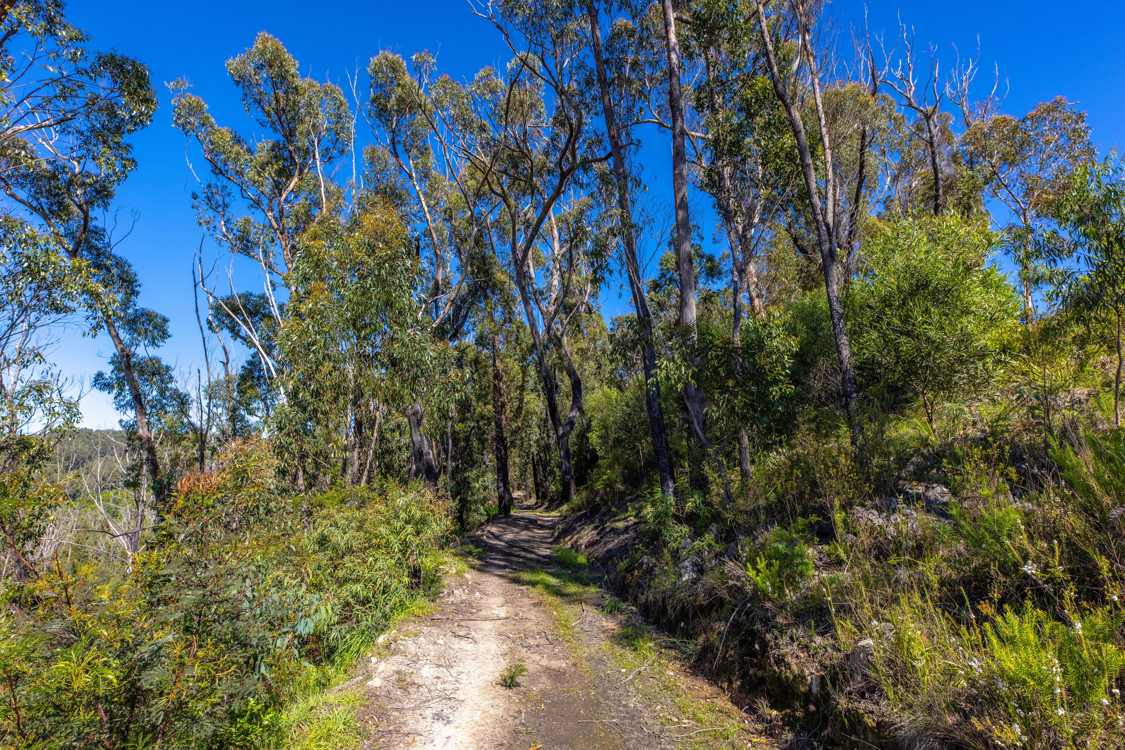 Lot 4 Braidwood Road — photo 13 of 17