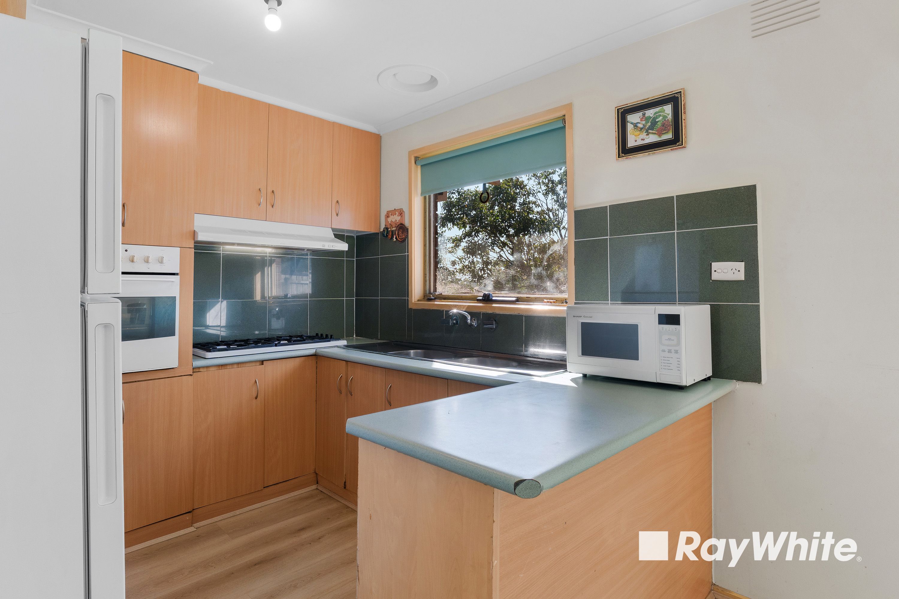 207 James Cook Drive — photo 5 of 14