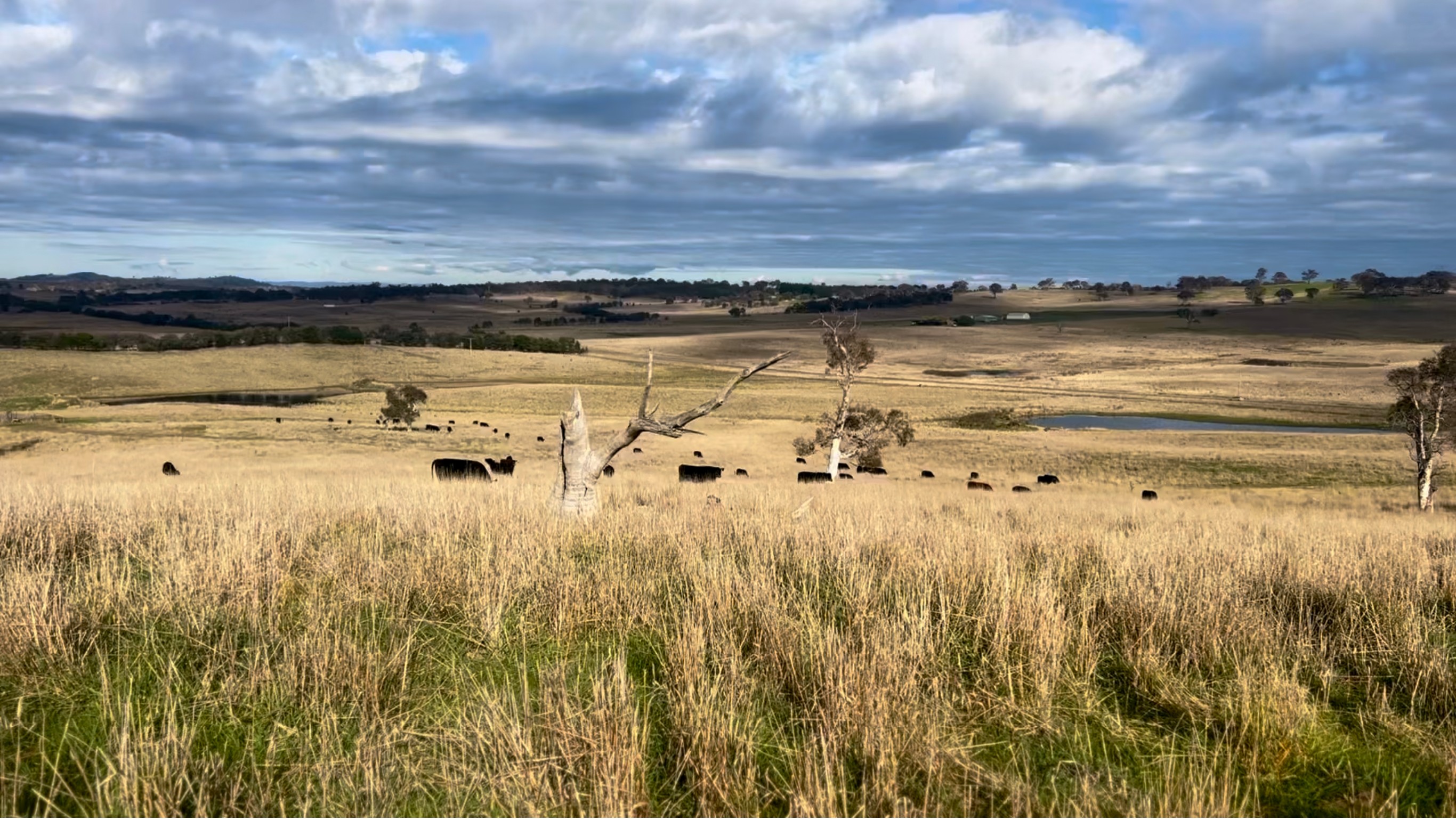 3152 Sutton Road, Sutton, NSW 2620