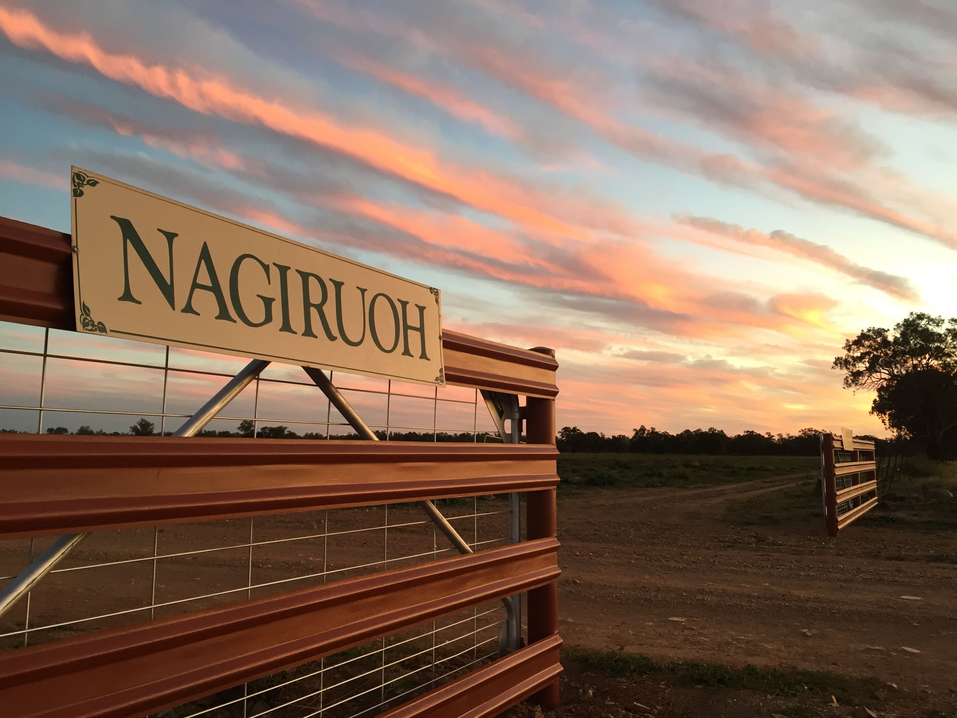 Nagiruoh 639 Kiacatoo Road, Condobolin, NSW 2877