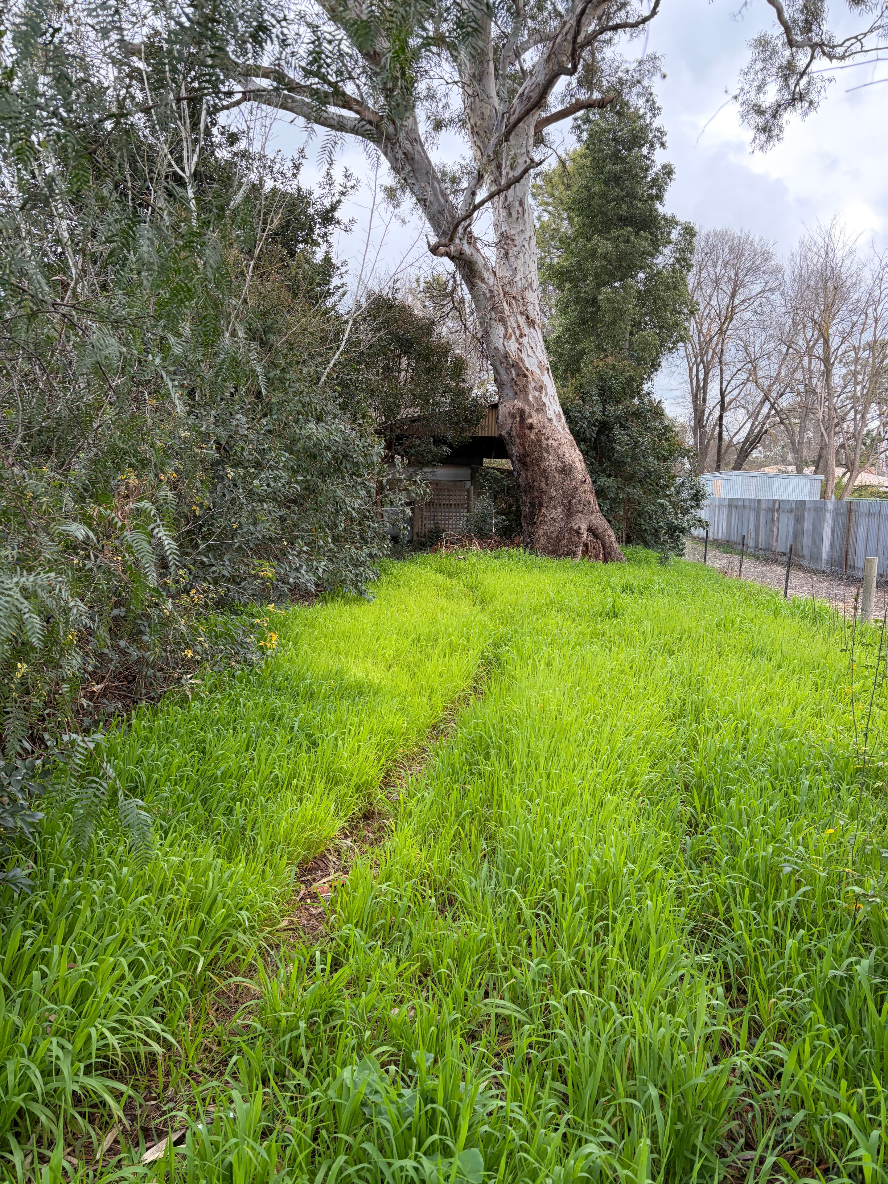 21 Cowslip Street — photo 6 of 11
