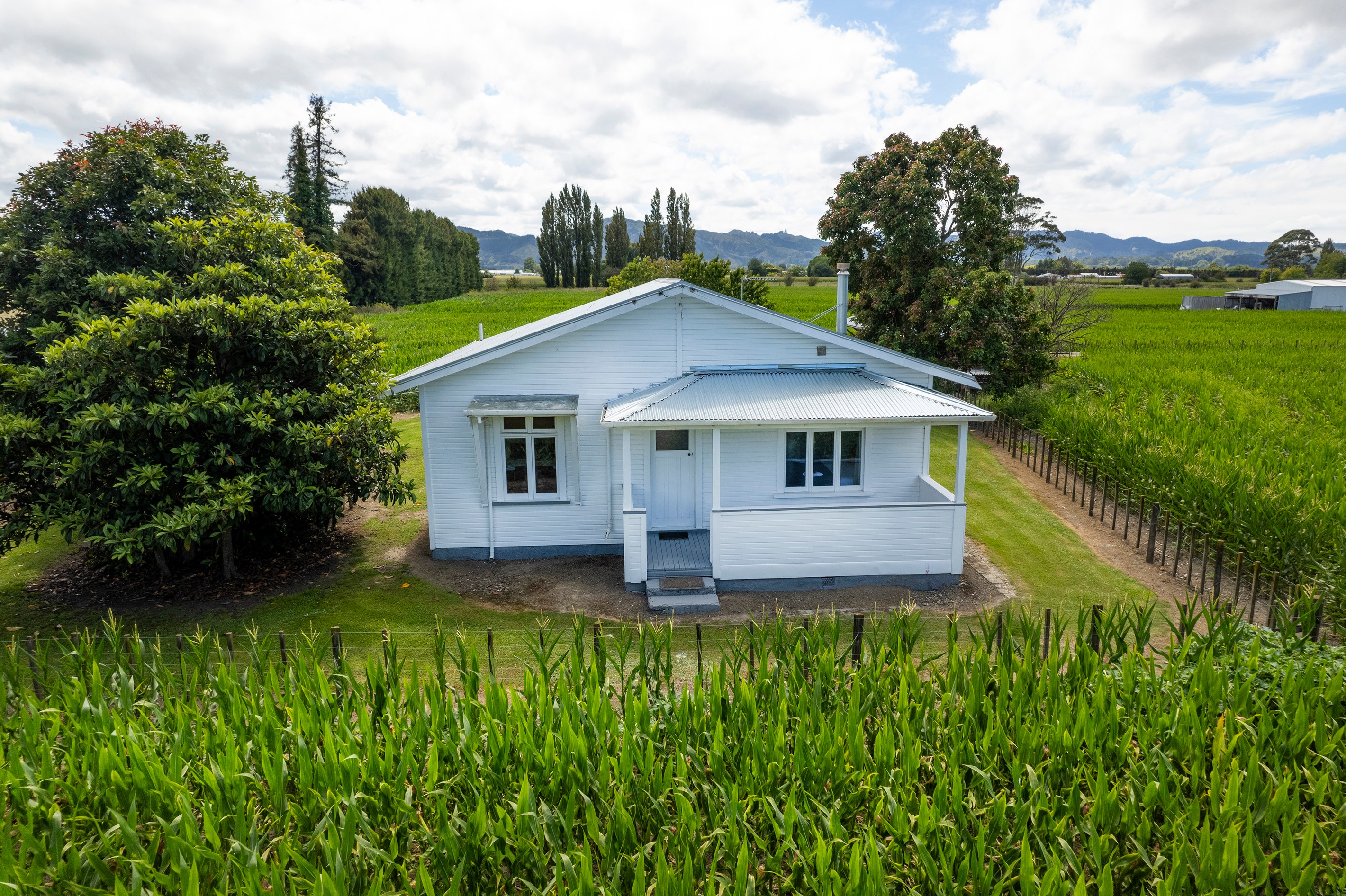 312 Matawai Road, Waerengaahika, Gisborne District