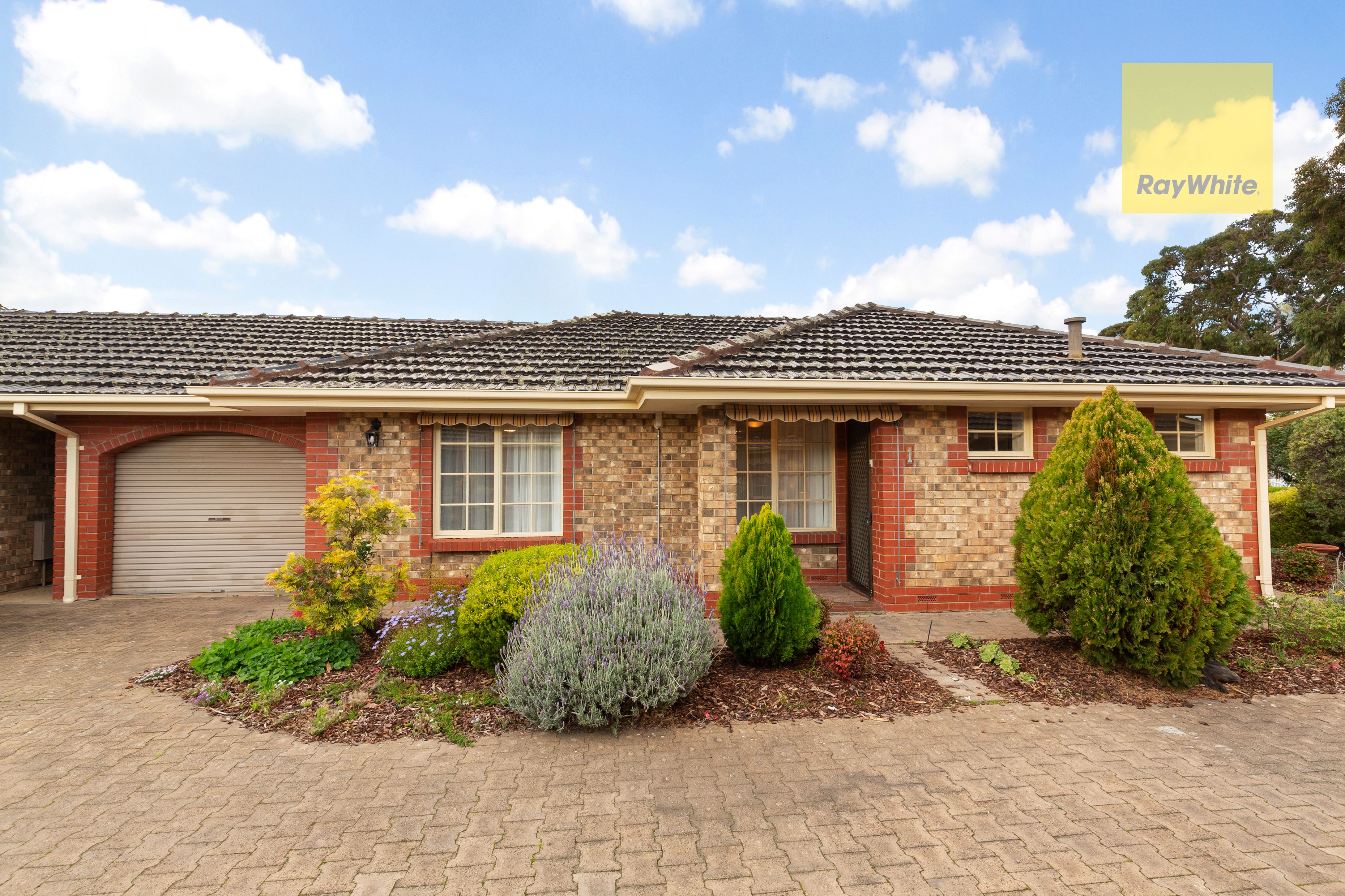 1/3 Pine Avenue, Warradale, SA 5046