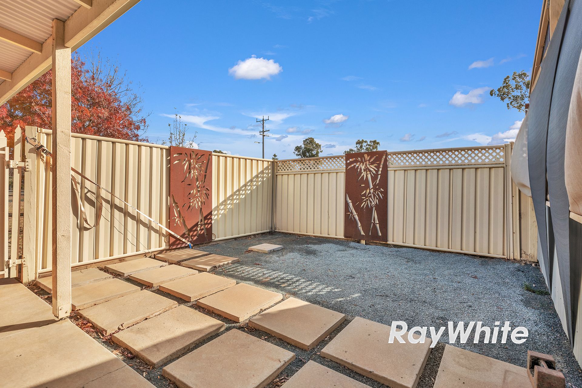 49 Baynes Street — photo 25 of 29