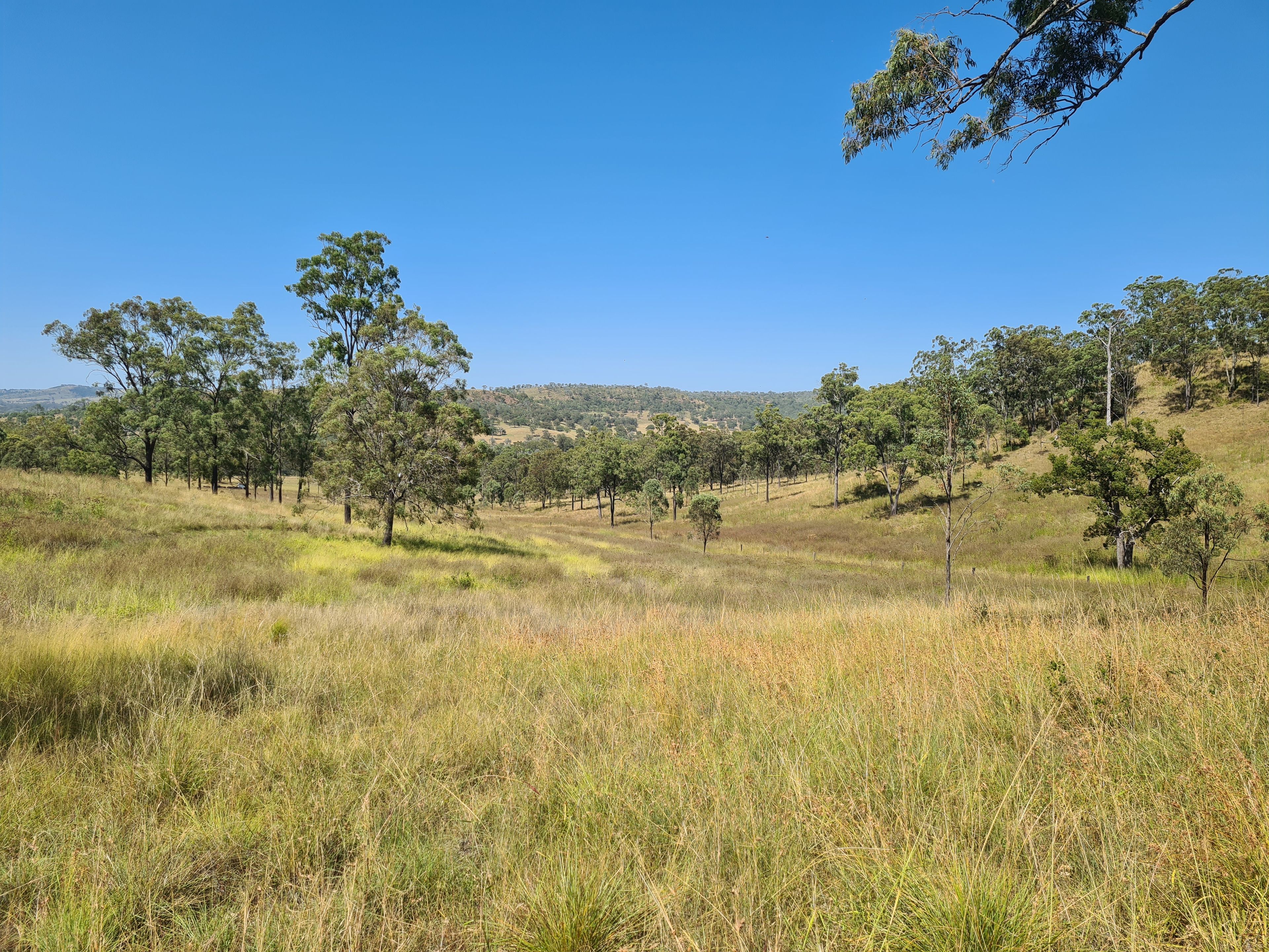 5272 New England Highway, Crows Nest, QLD 4355 Sold Rural Lifestyle