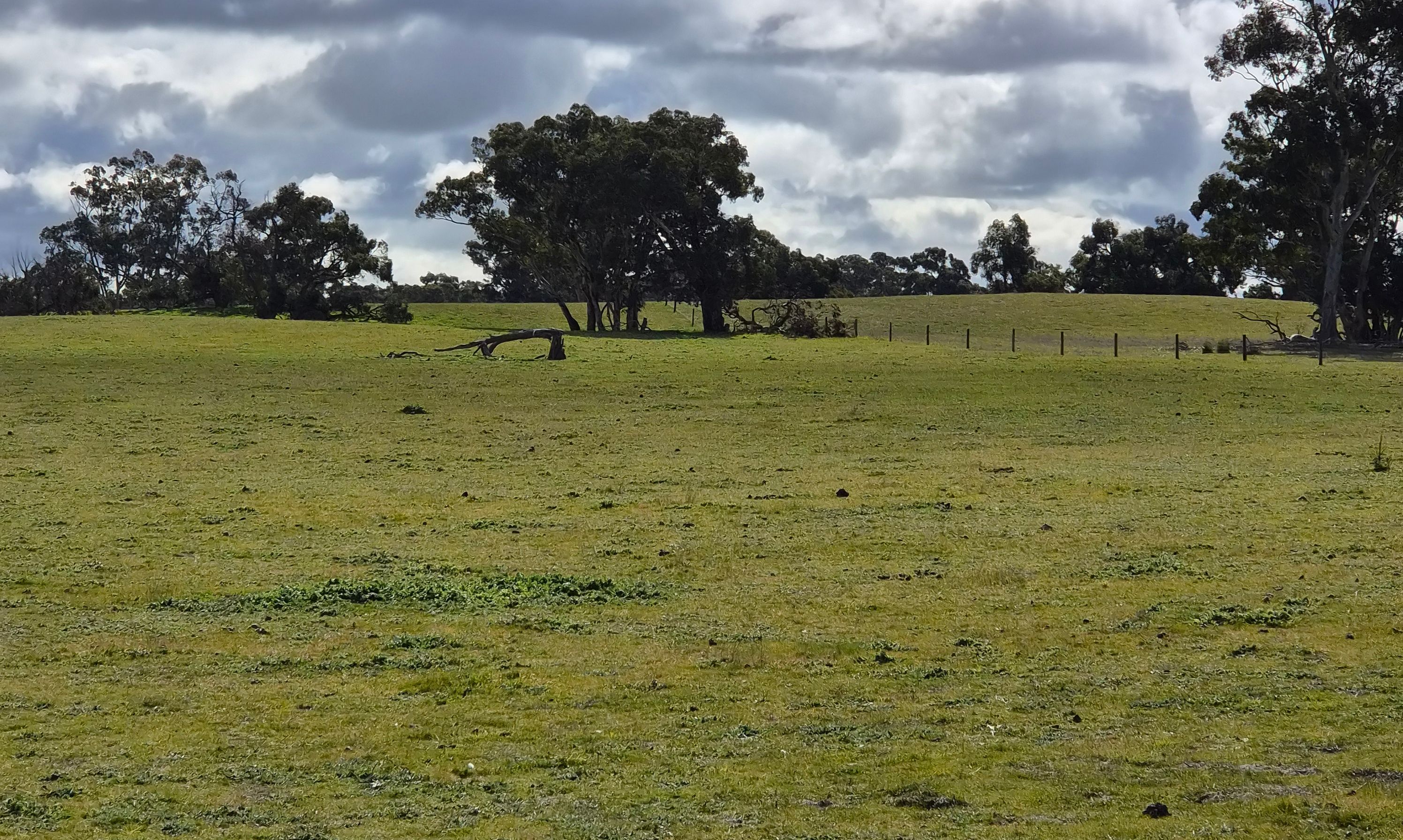 Bangham, SA 5268