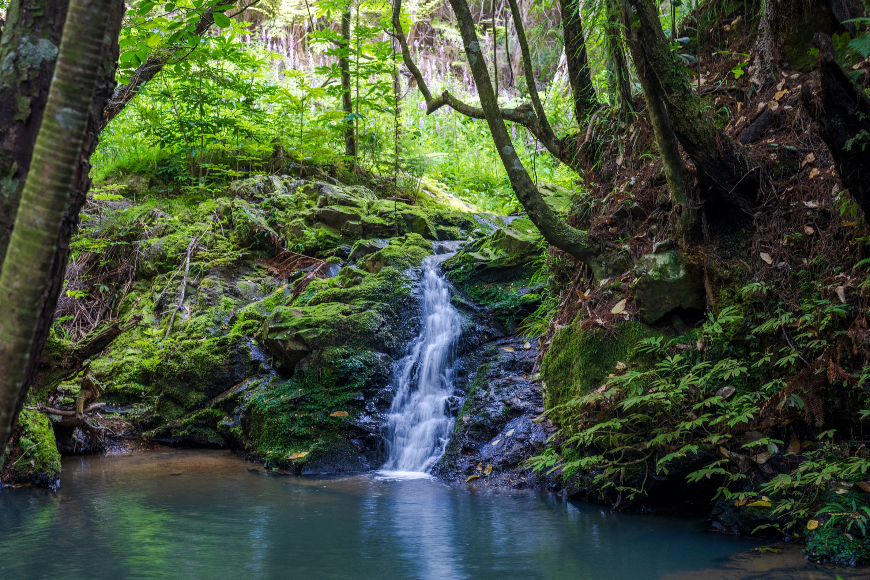 849 Owhiwa Road, Parua Bay, Whangarei District