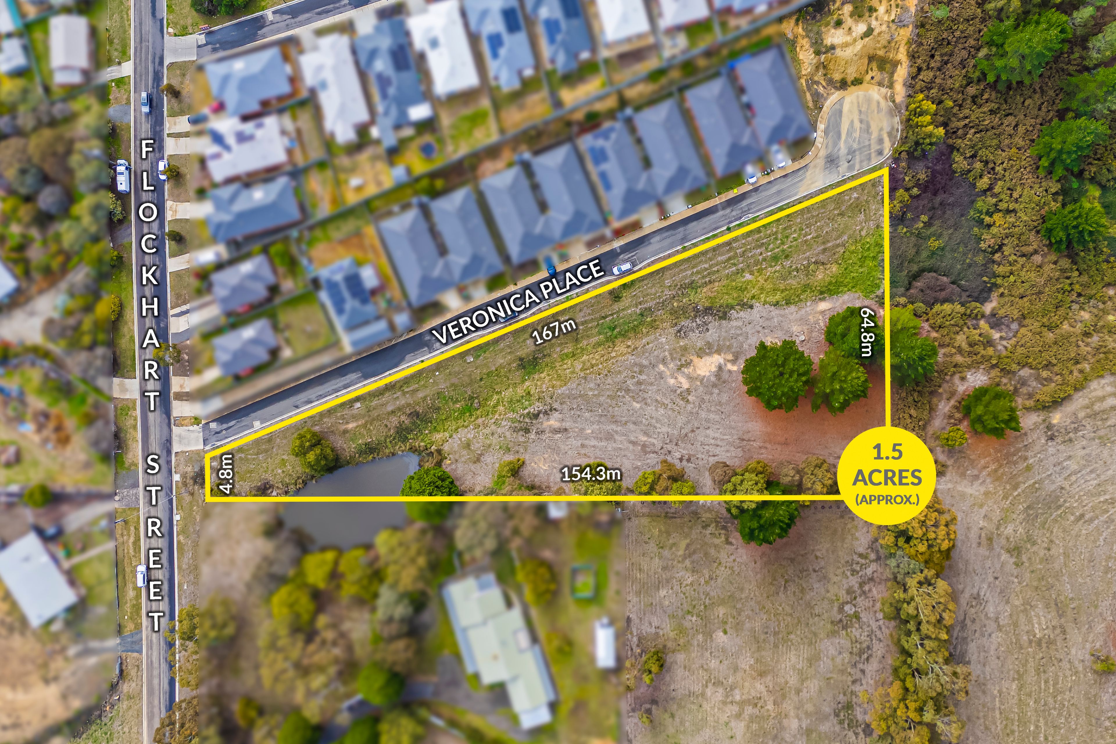 25A Flockhart Street, Mount Pleasant VIC 3350
