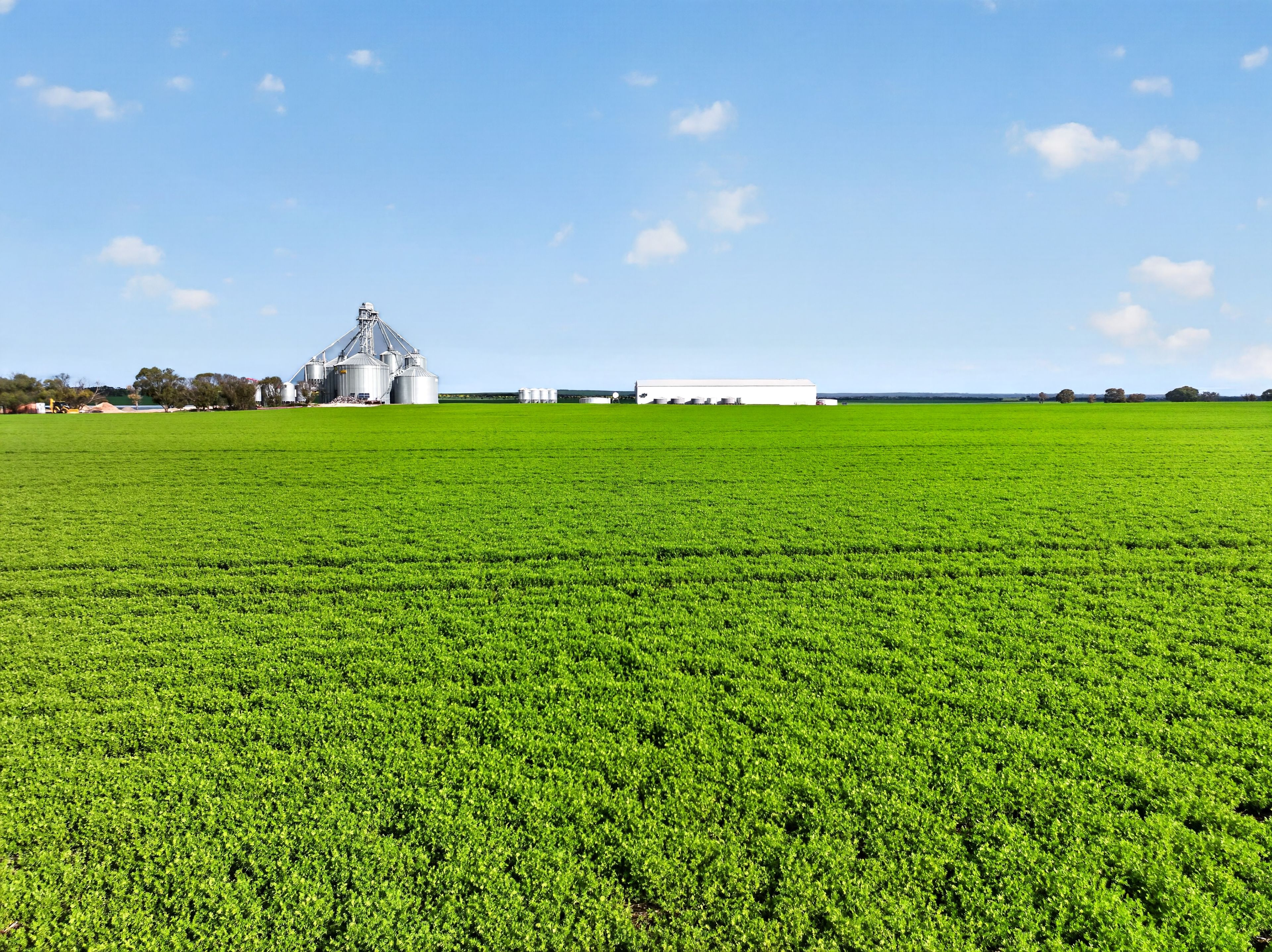 'Watervalley Farm' Broster Road — photo from Ray White Rural South Australia