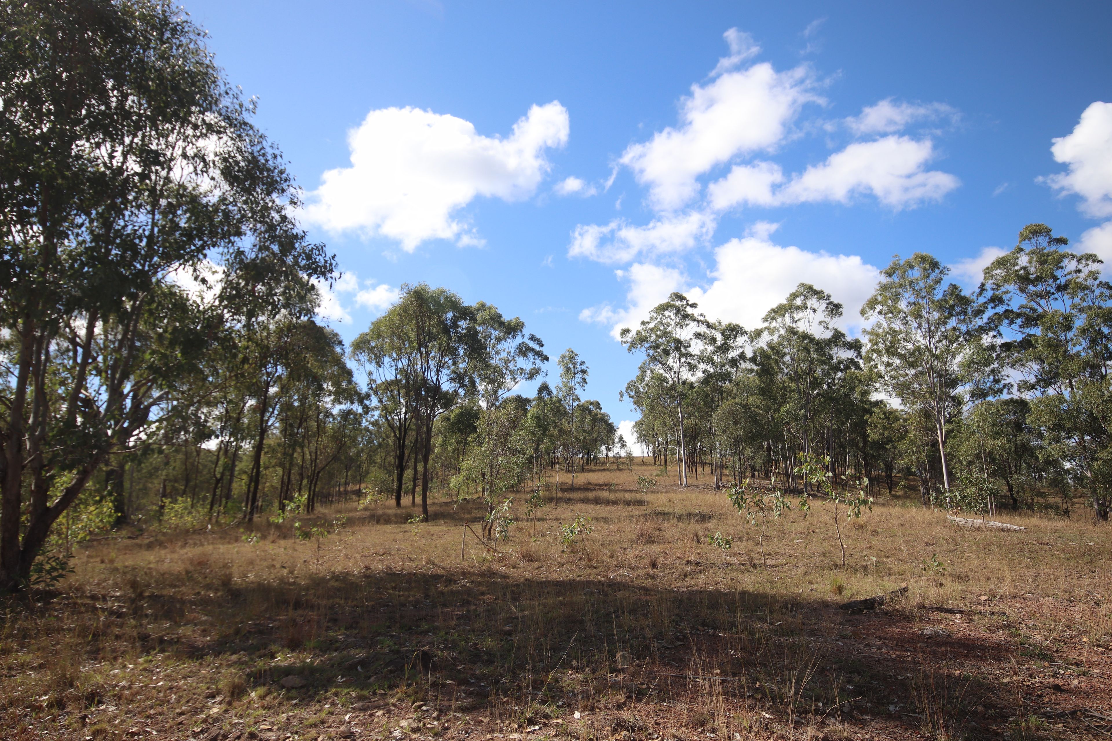 Lot 43 and Lot 50 Kalliwa Road, Mingo — photo 7 of 29