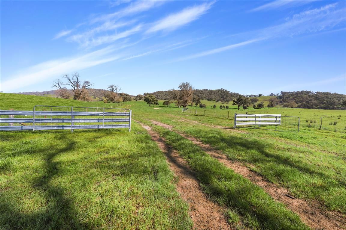 Part 1169 Grahamstown Road, Adelong, NSW 2729