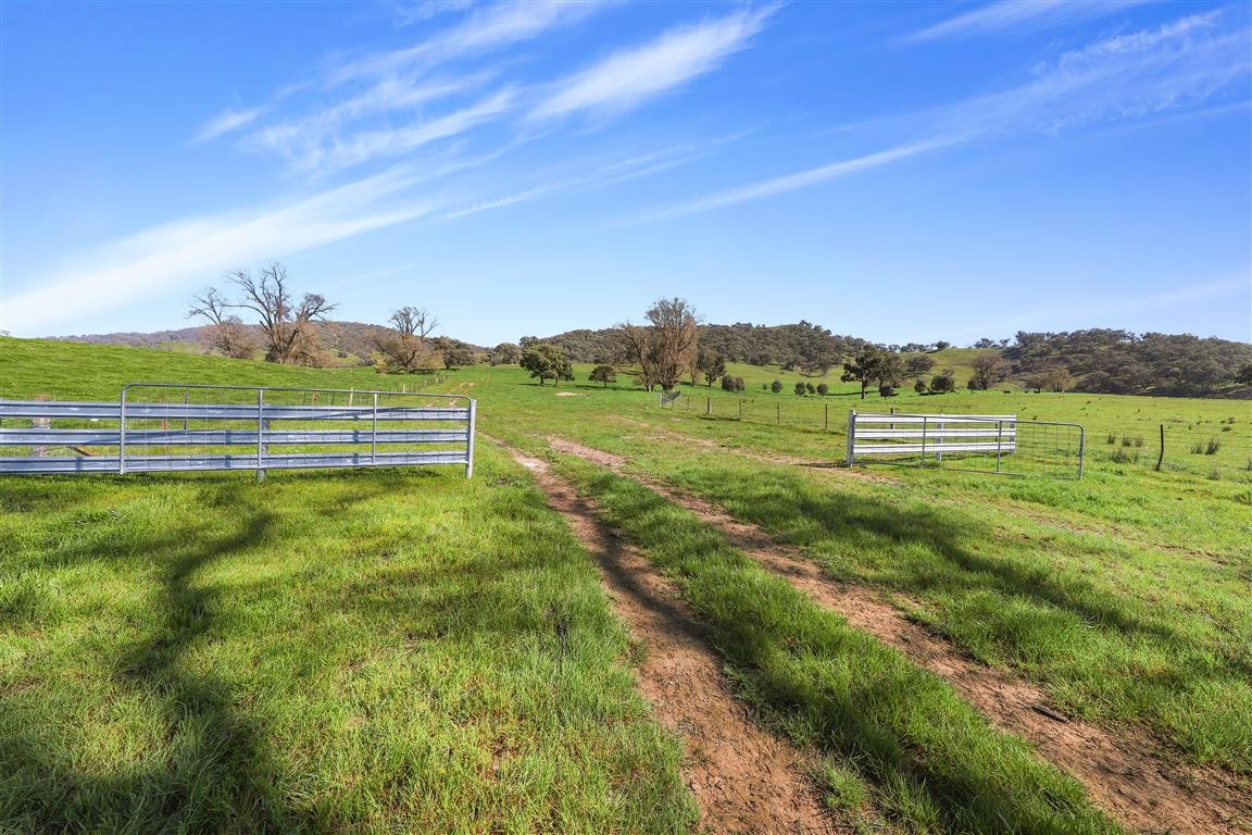 Part 1169 Grahamstown Road, Adelong, NSW 2729