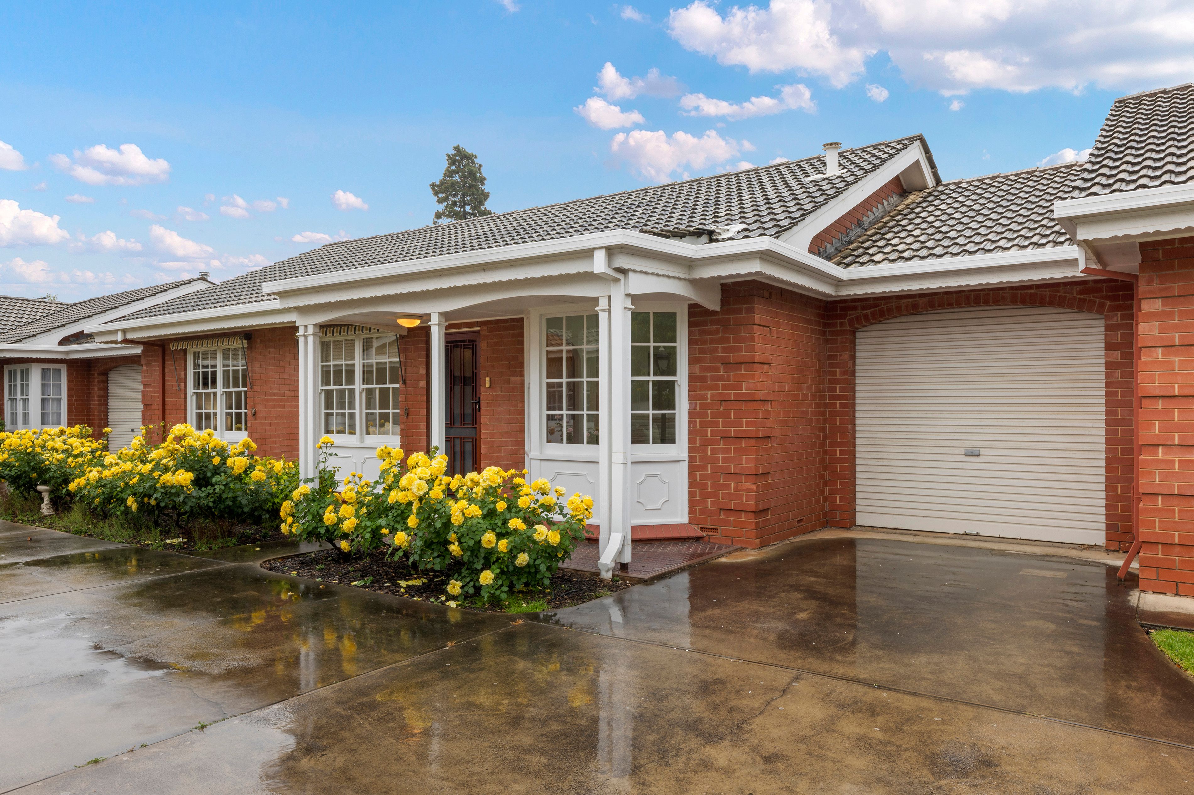 2/159 Walkerville Terrace, Walkerville, SA 5081