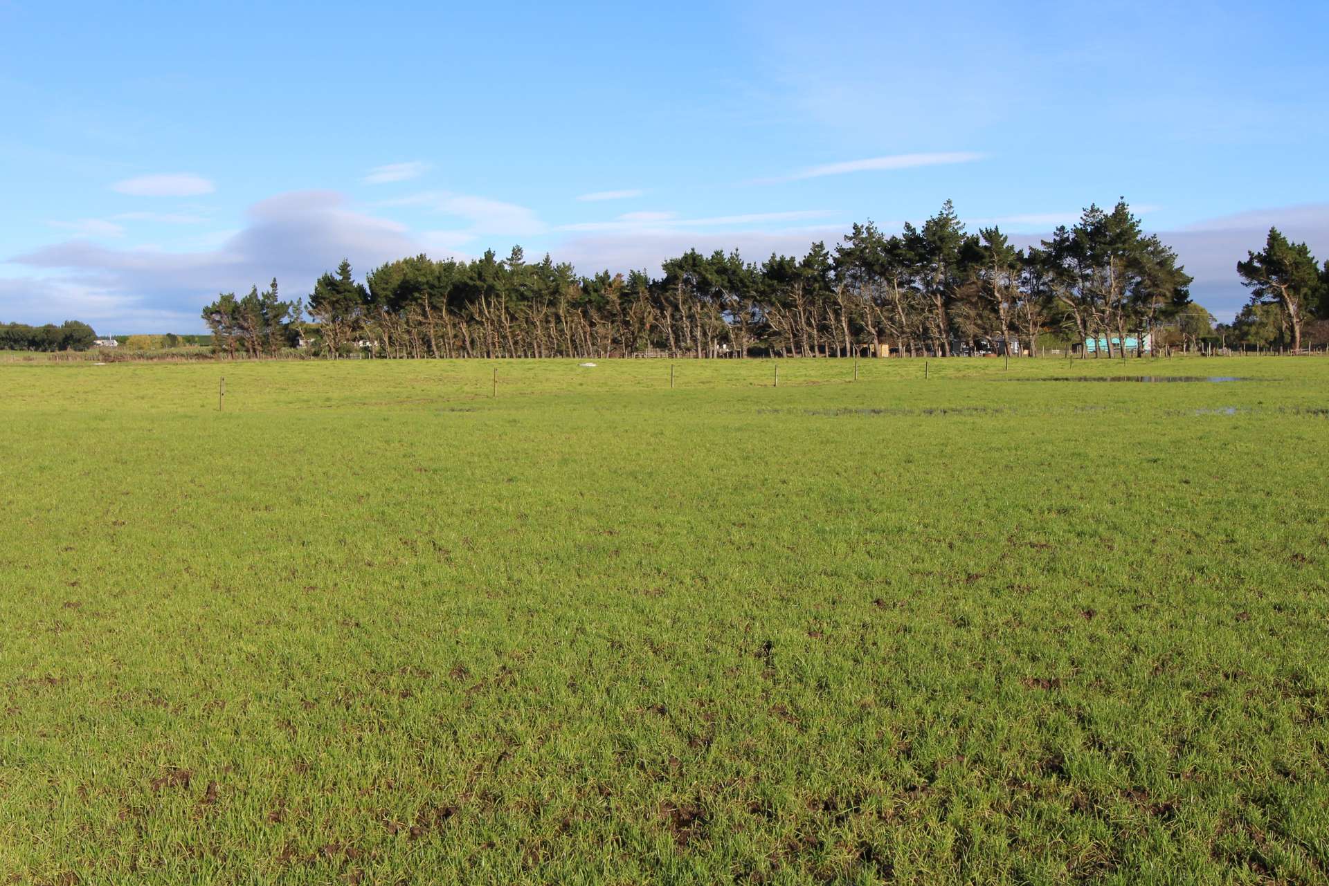 Lot 2 Oteramika Road photo 7