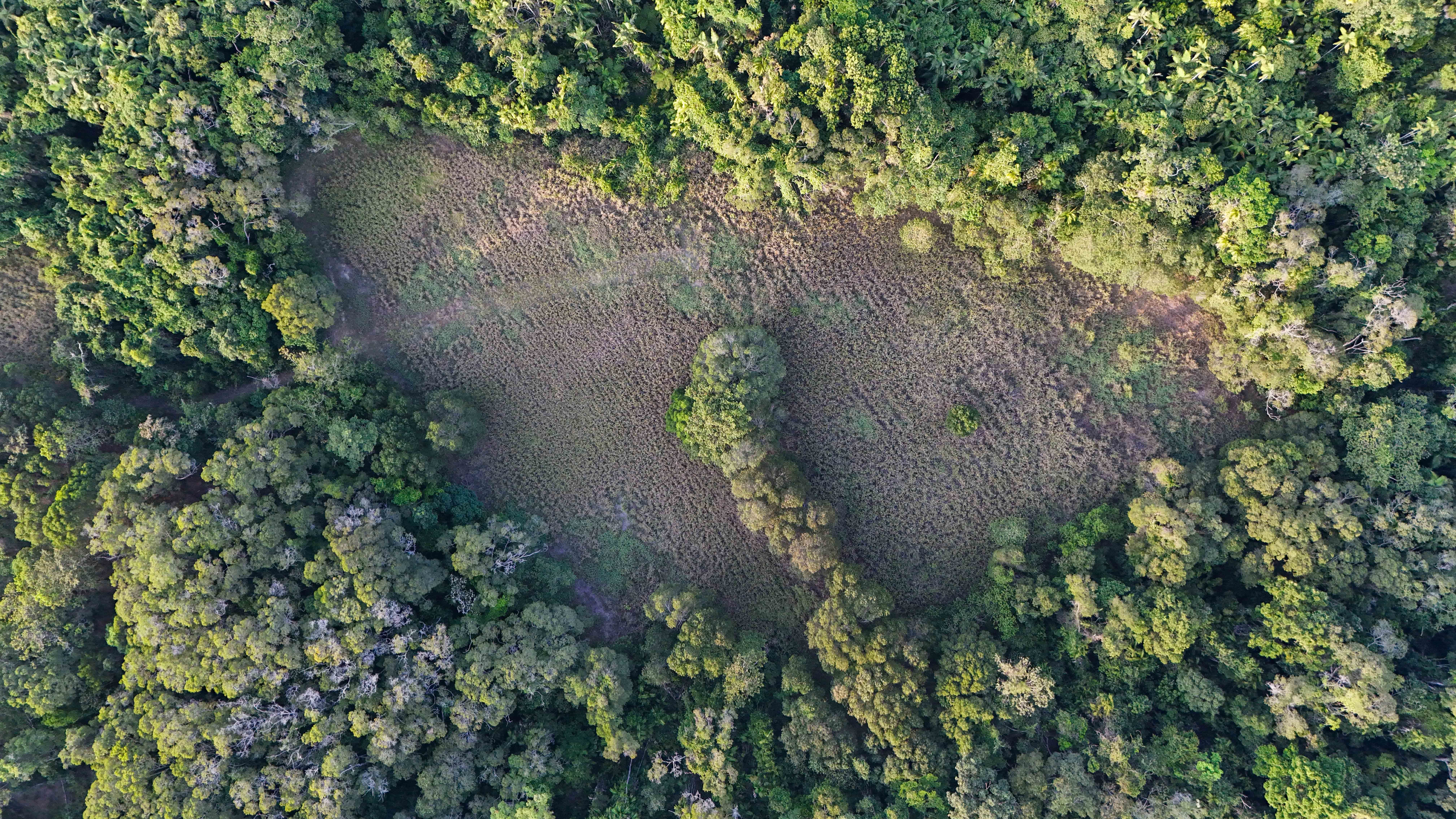 Create Your Idyllic Lifestyle to Include Future Potential Income on 342 acres — photo 5 of 30