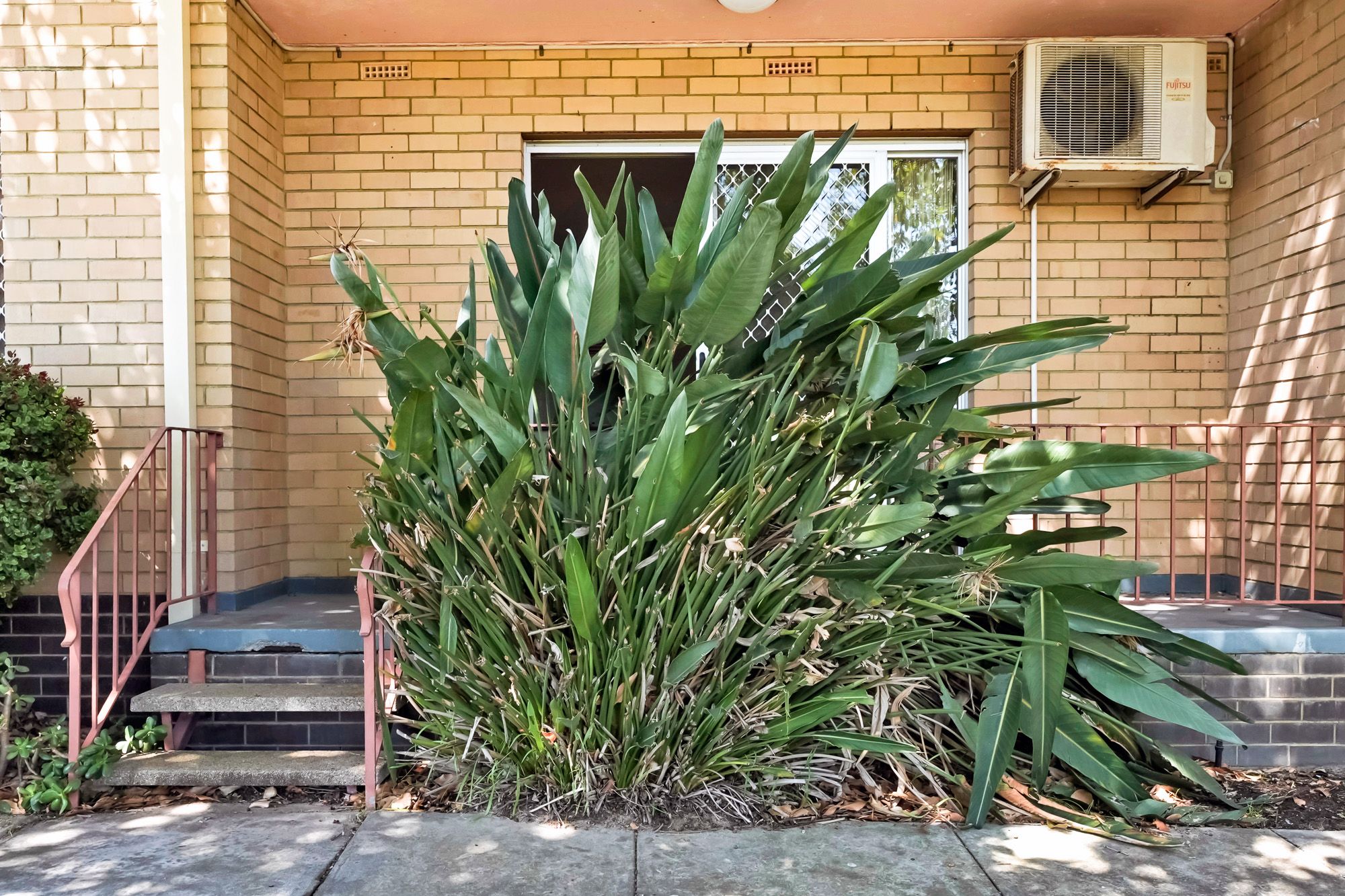 2/122 Albert Street — photo 12 of 13