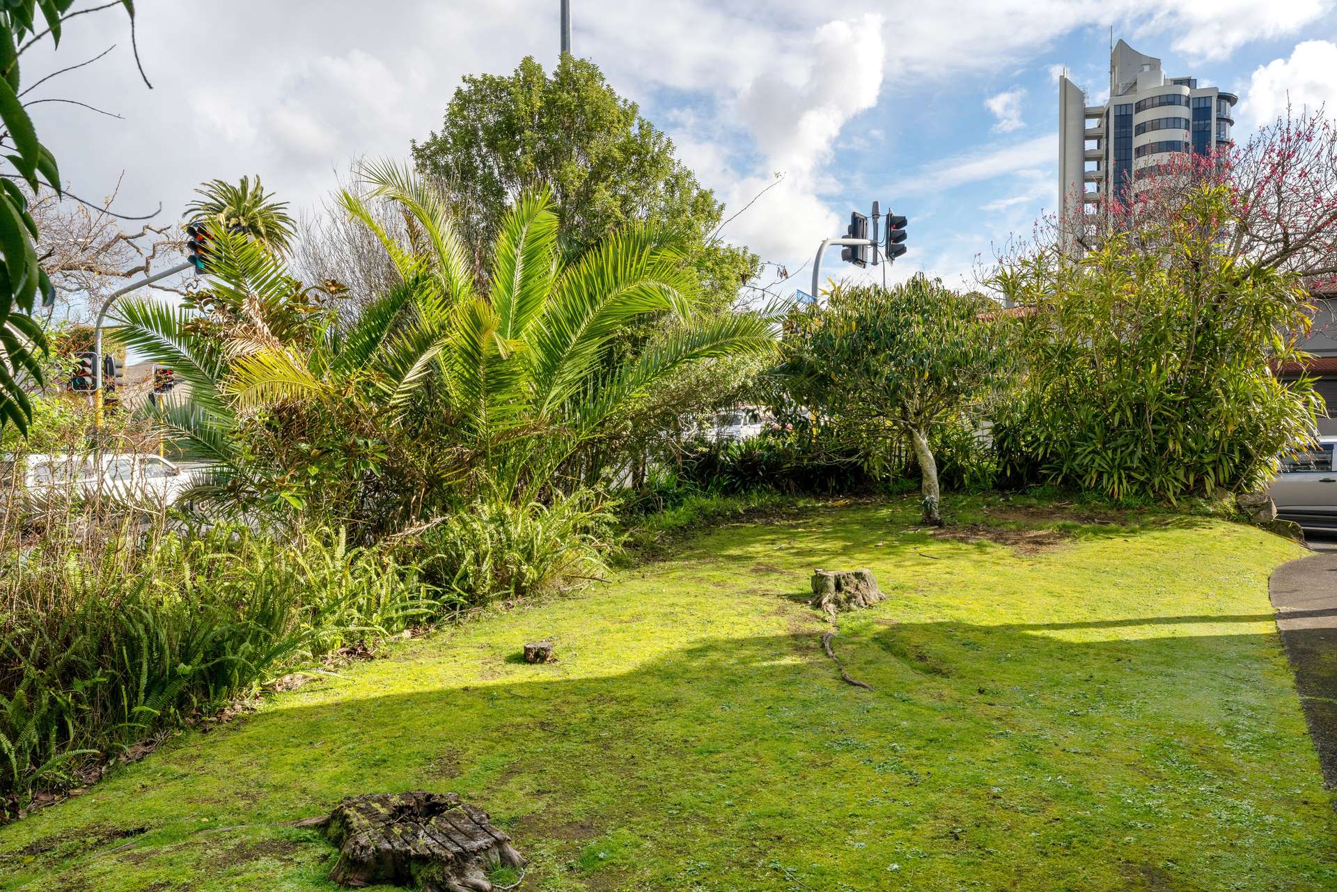 1/1 Orakei Road photo 7