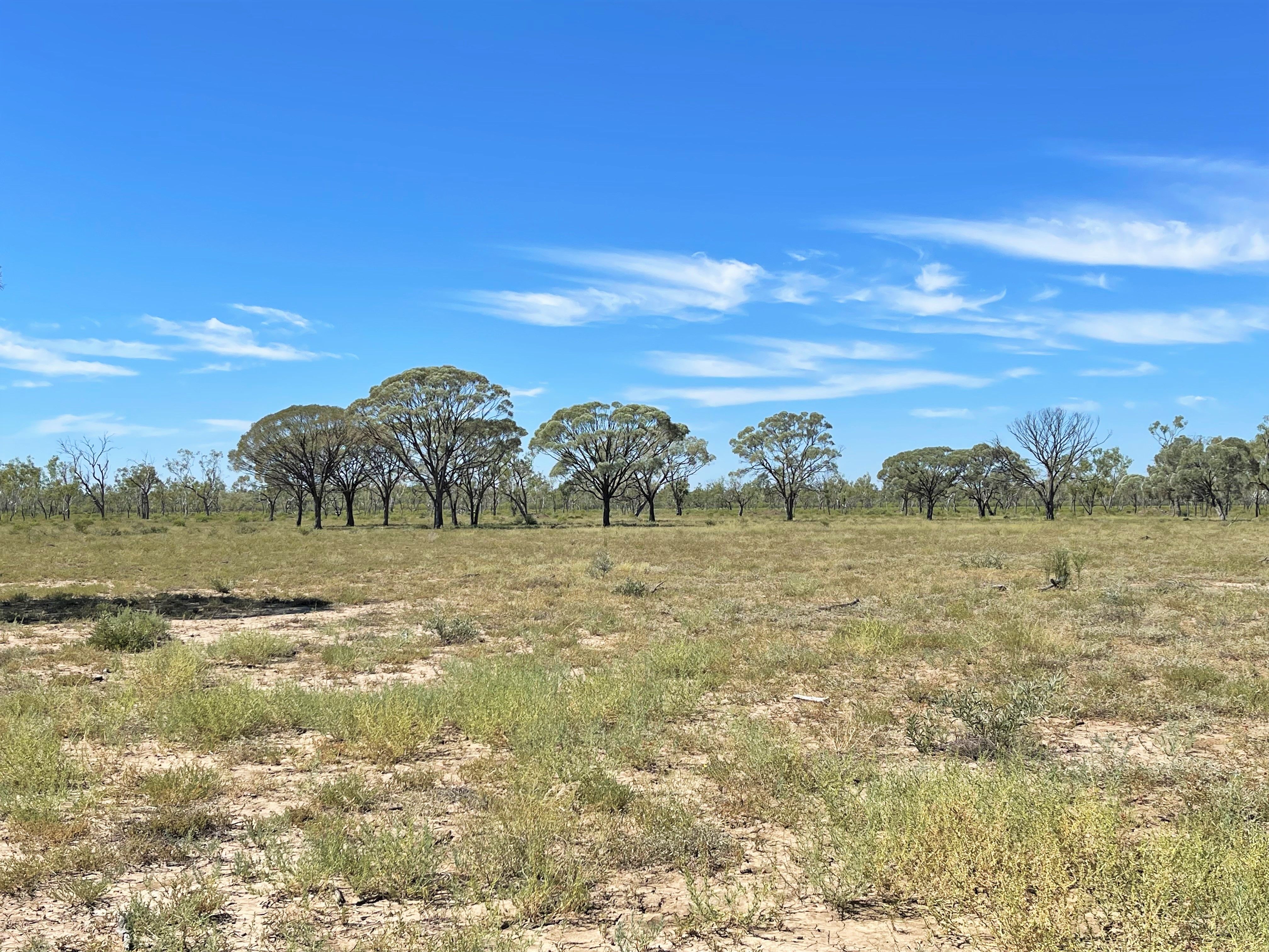 0 Capricorn Highway, Barcaldine, QLD 4725 Rural Lifestyle Property