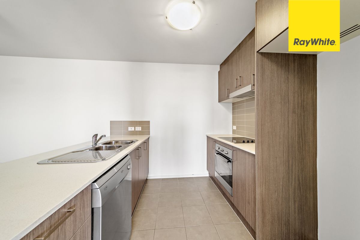 97/41 Philip Hodgins Street, WRIGHT, ACT 2611