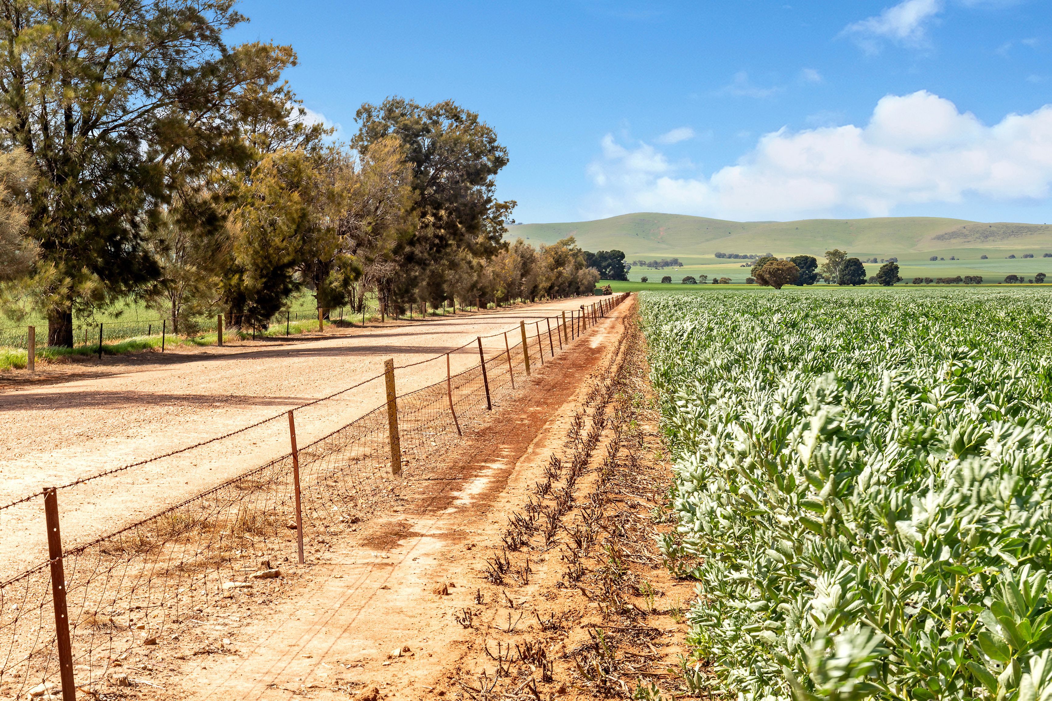 'Crawford Park' Road, SA 5472 Sold Rural Cropping Property