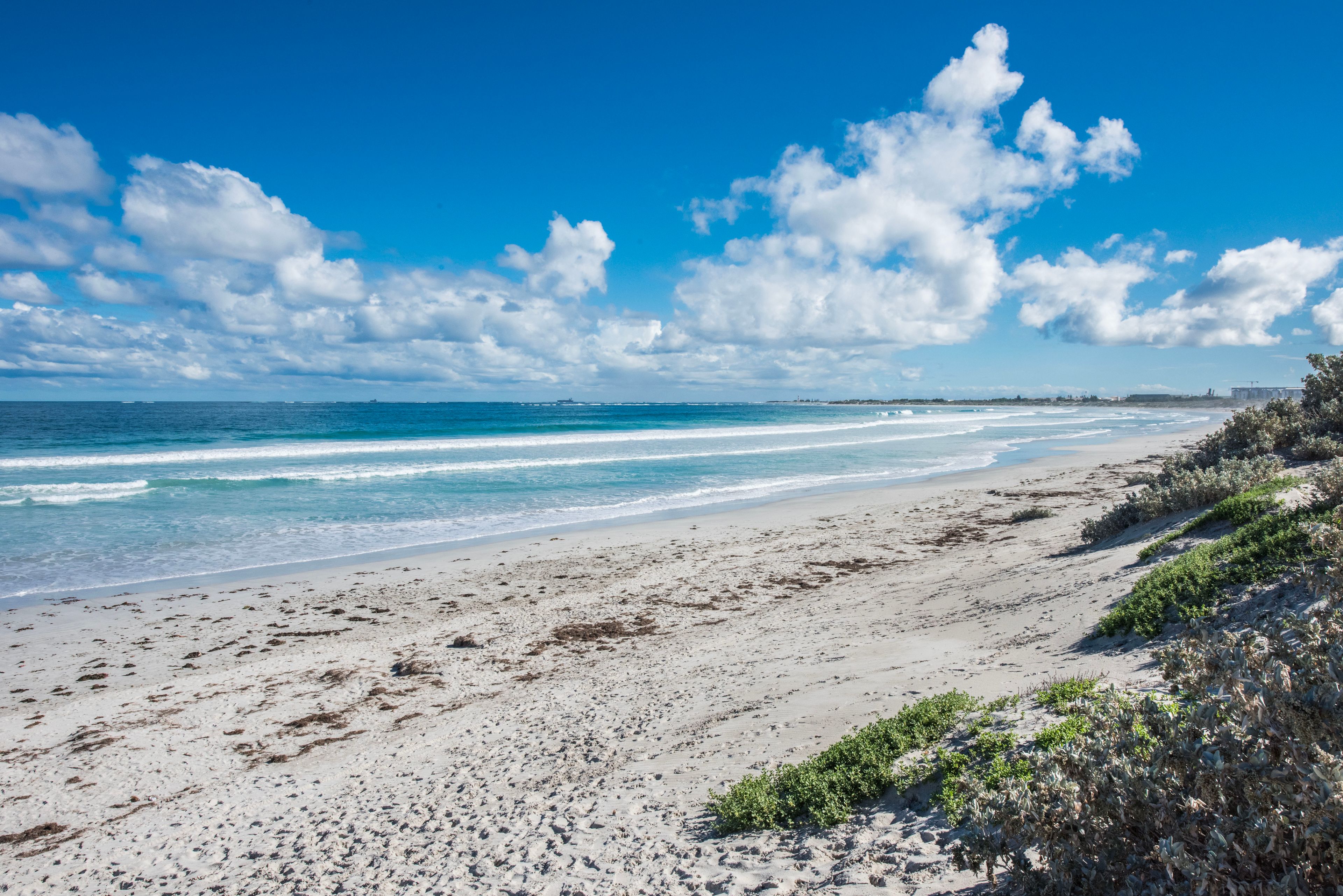 327 Willcock Drive, Tarcoola Beach, WA 6530 Sold House Ray White