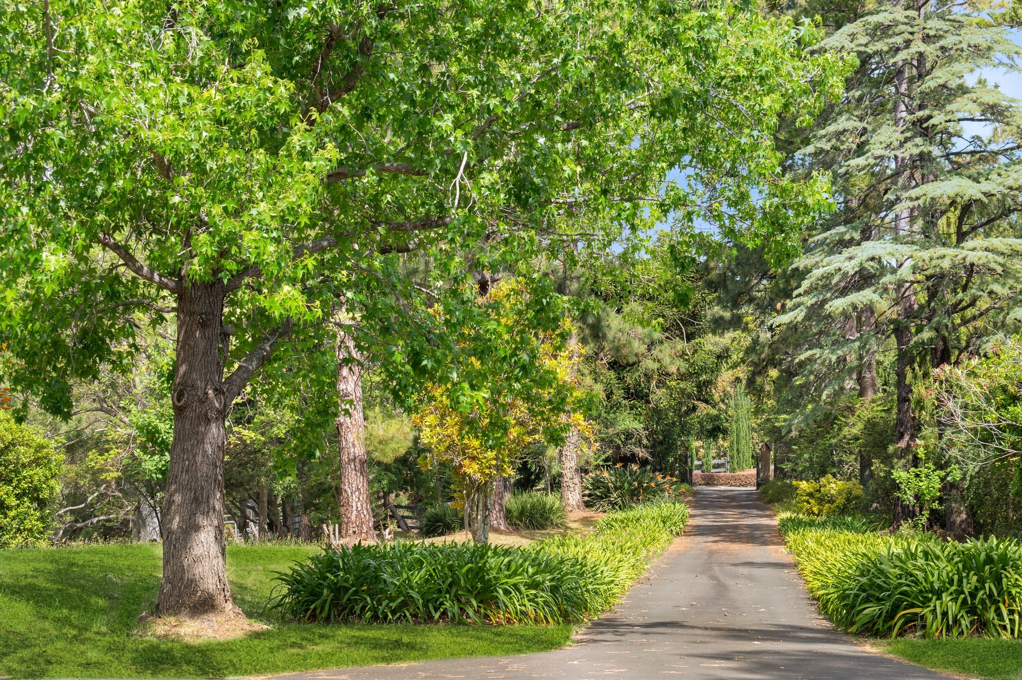 816 Grose Vale Road, Grose Vale, NSW 2753