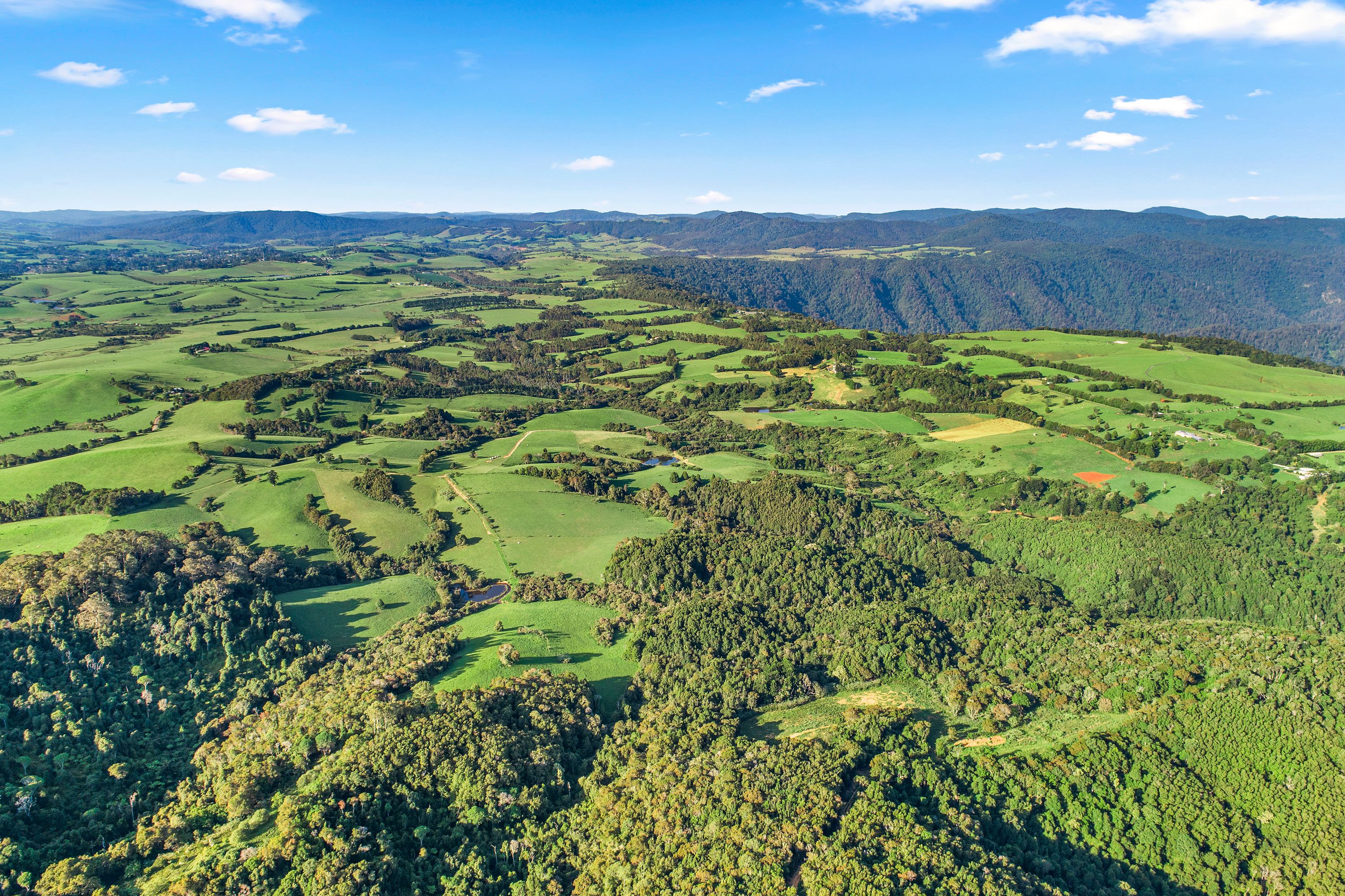 Dorrigo, NSW 2453 Sold Rural Dairy Property Ray White Rural Dorrigo Bellingen