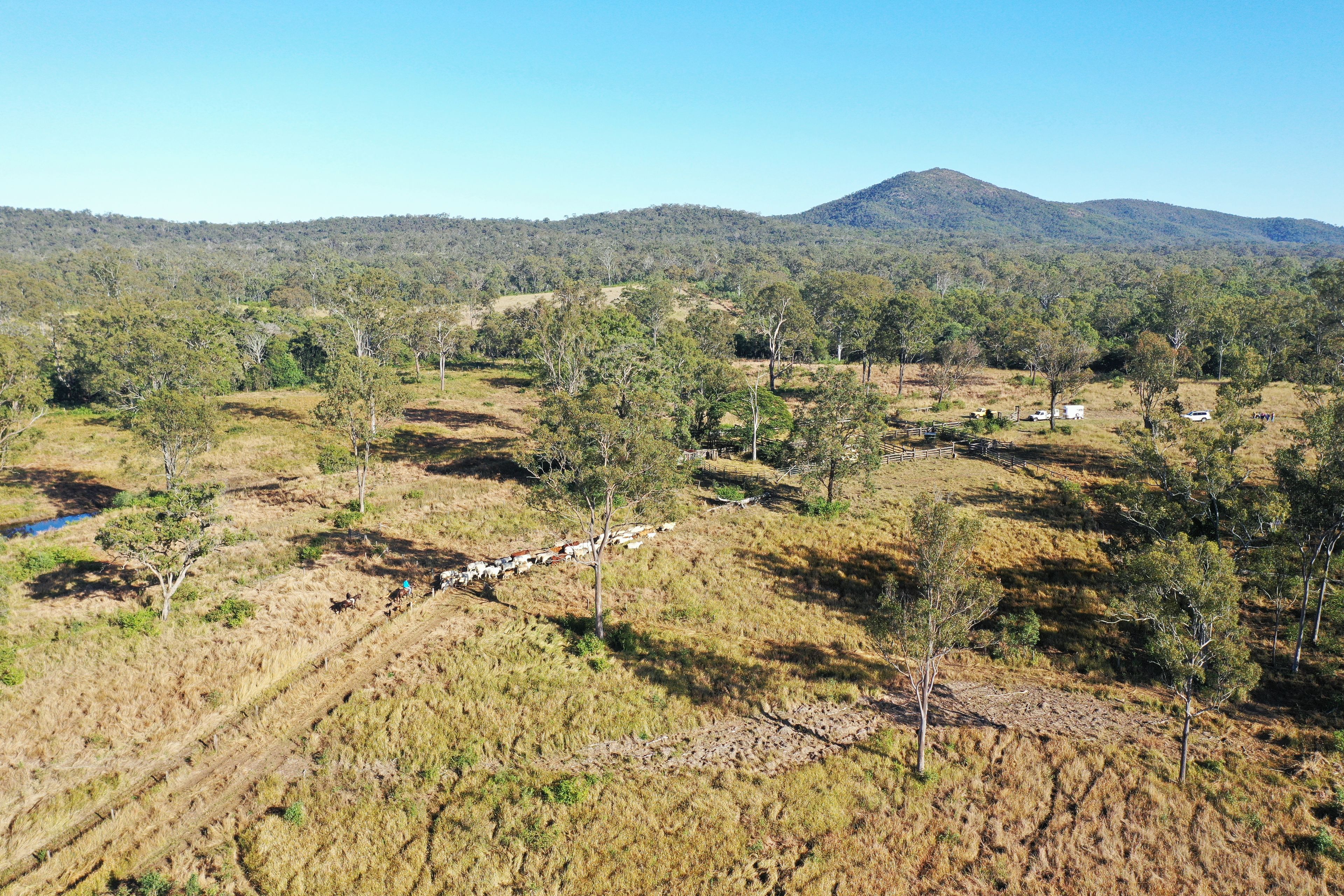 264 Moolyung Road, Waterloo, QLD 4673