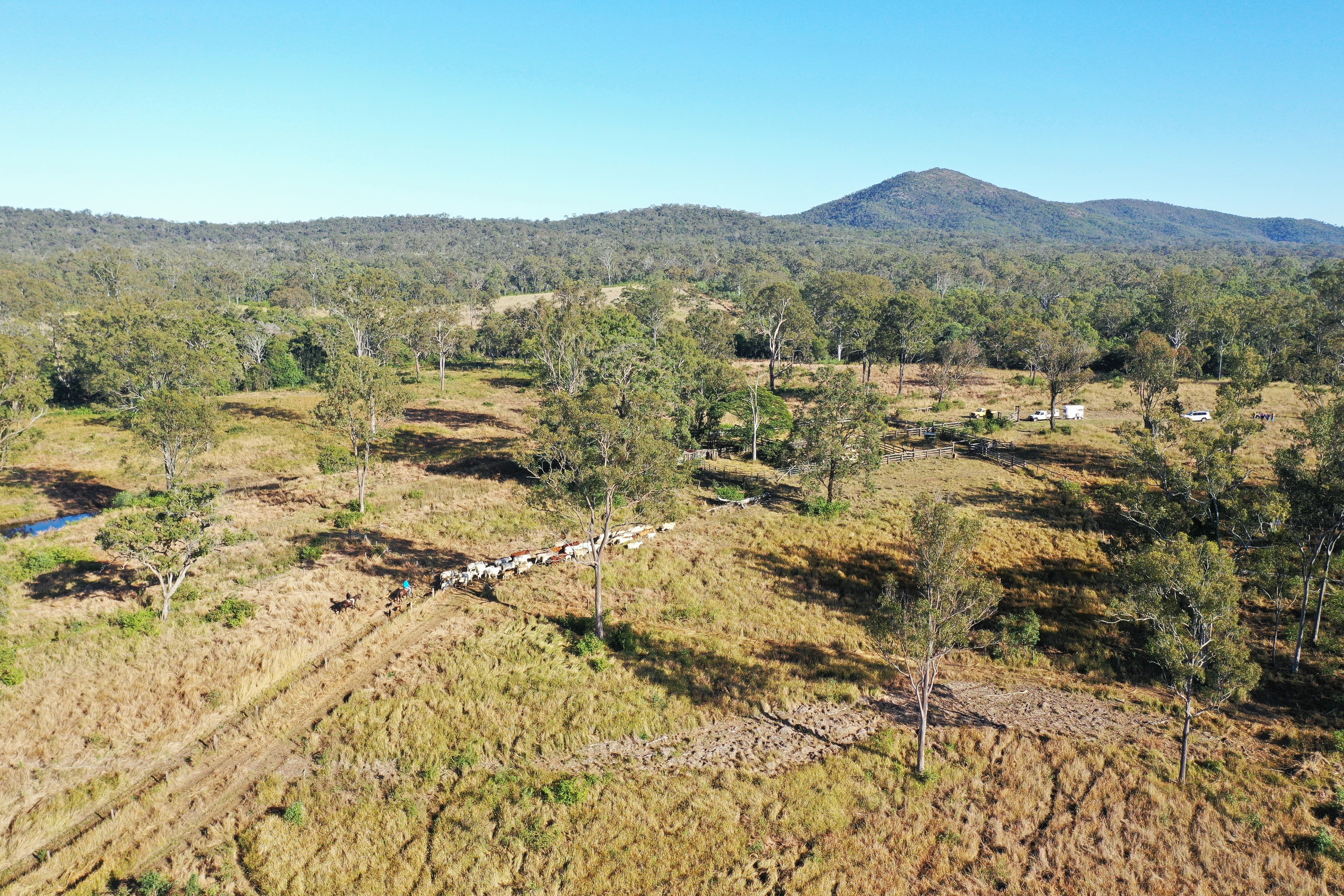 264 Moolyung Road, Waterloo, QLD 4673