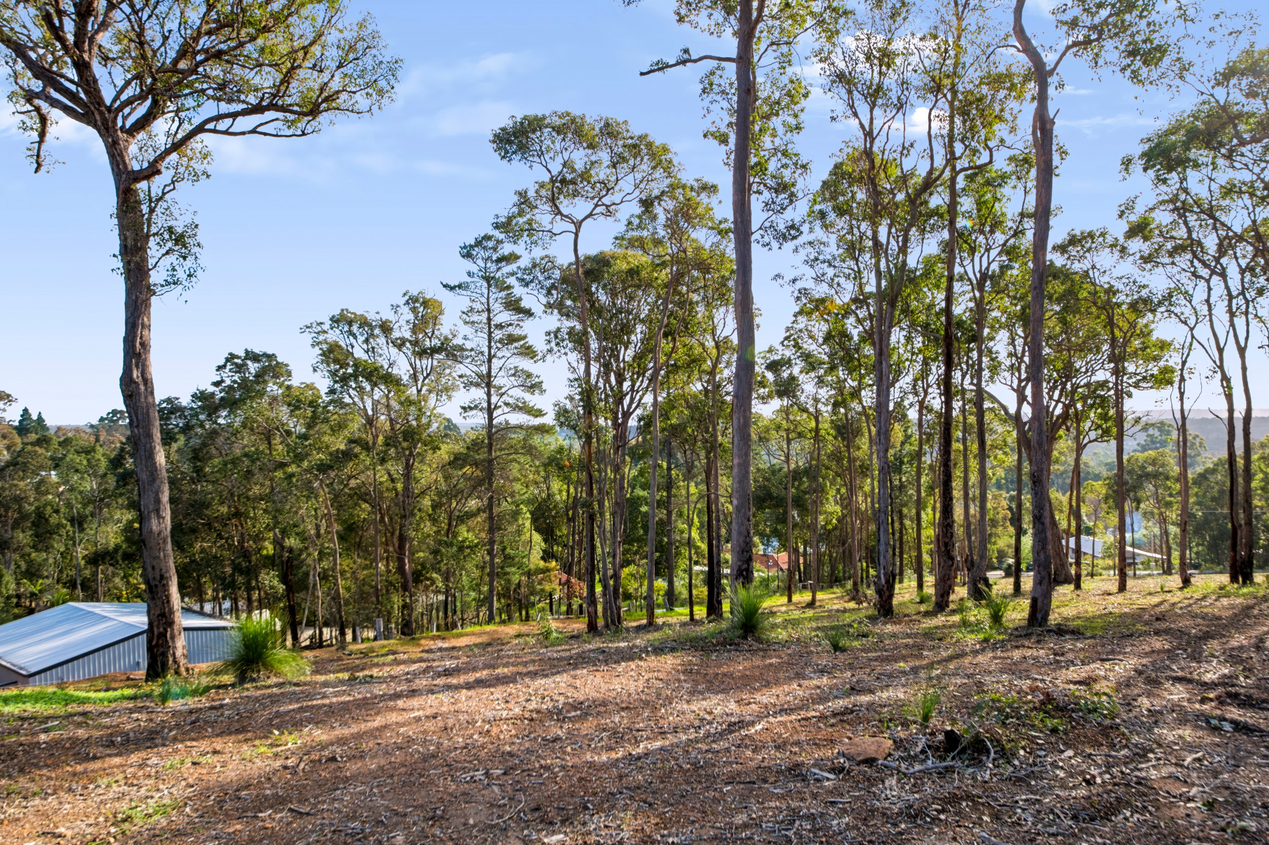 51 Carey Street, Nannup, WA 6275