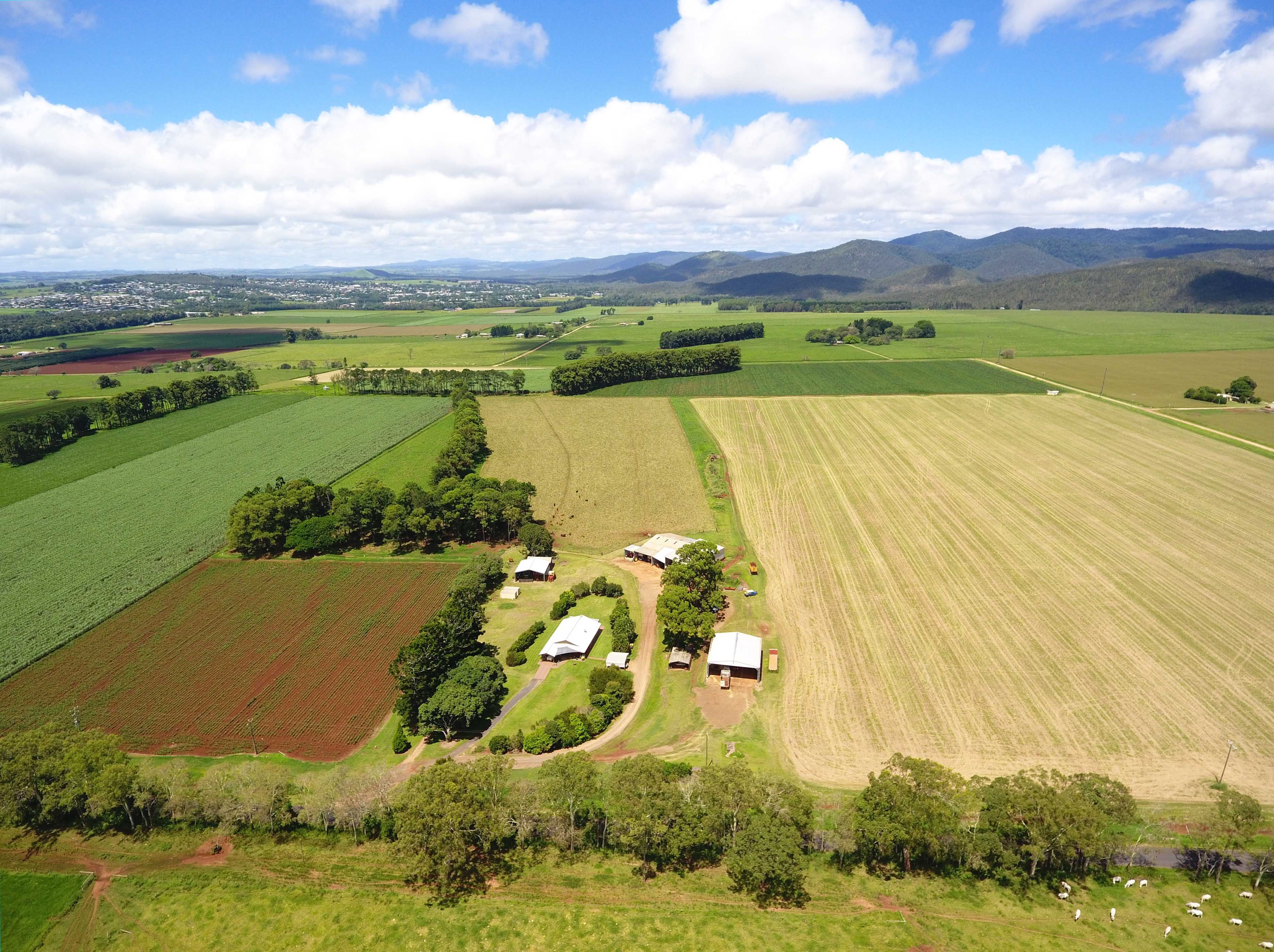 Tolga, QLD 4882 Rural Cropping Property for Sale Ray White Rural