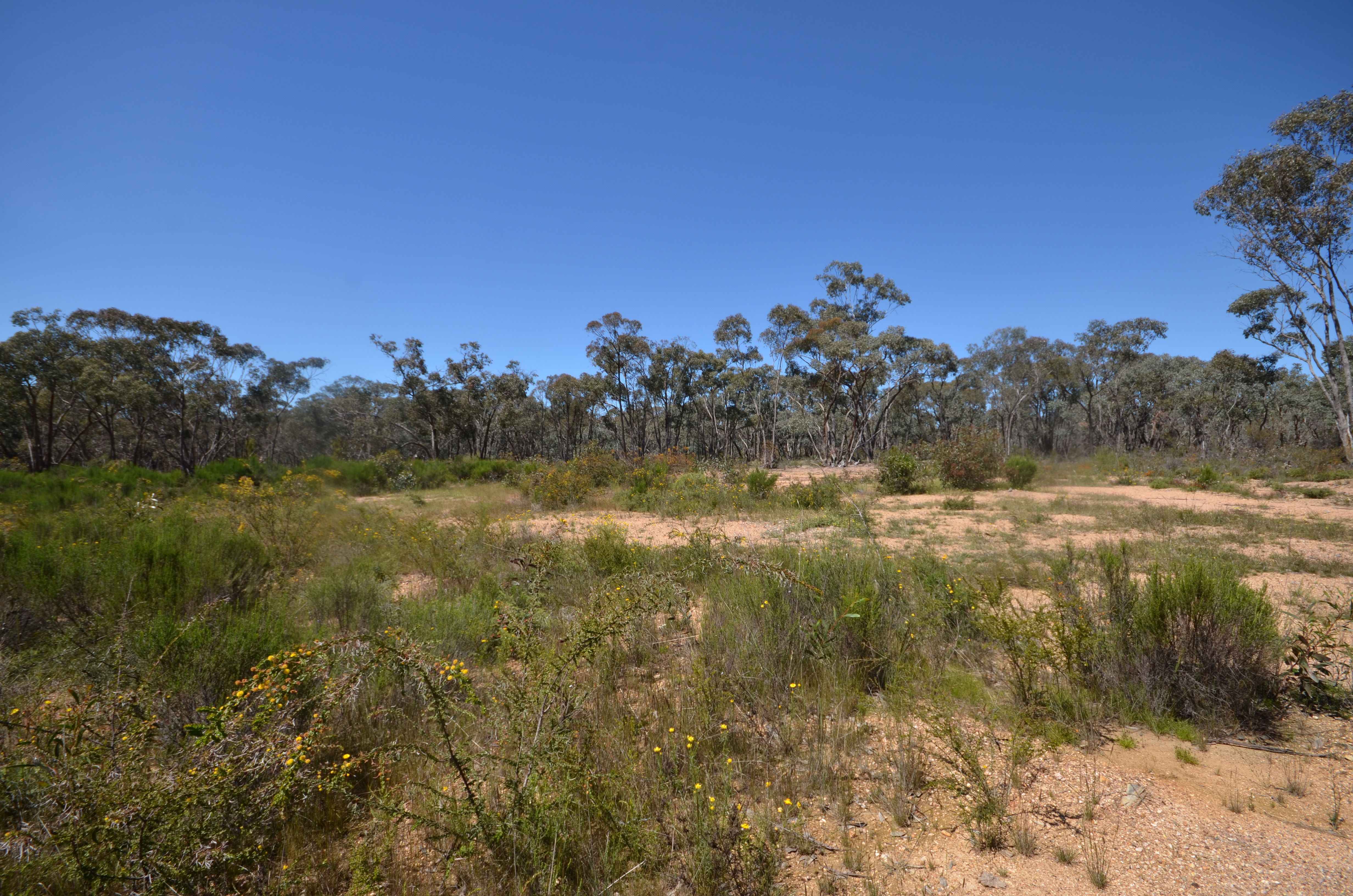 Lot 2 Junortoun Road, Junortoun, VIC 3551