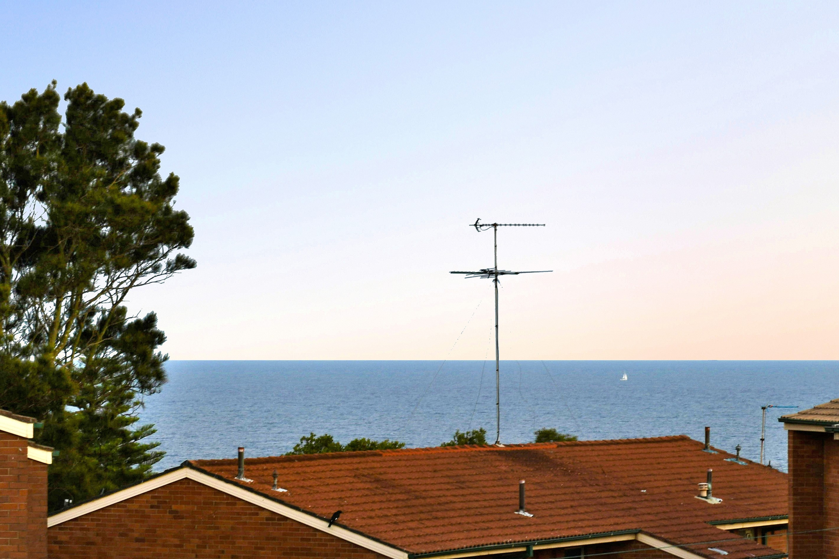 38 Gregory Street, South Coogee, NSW 2034